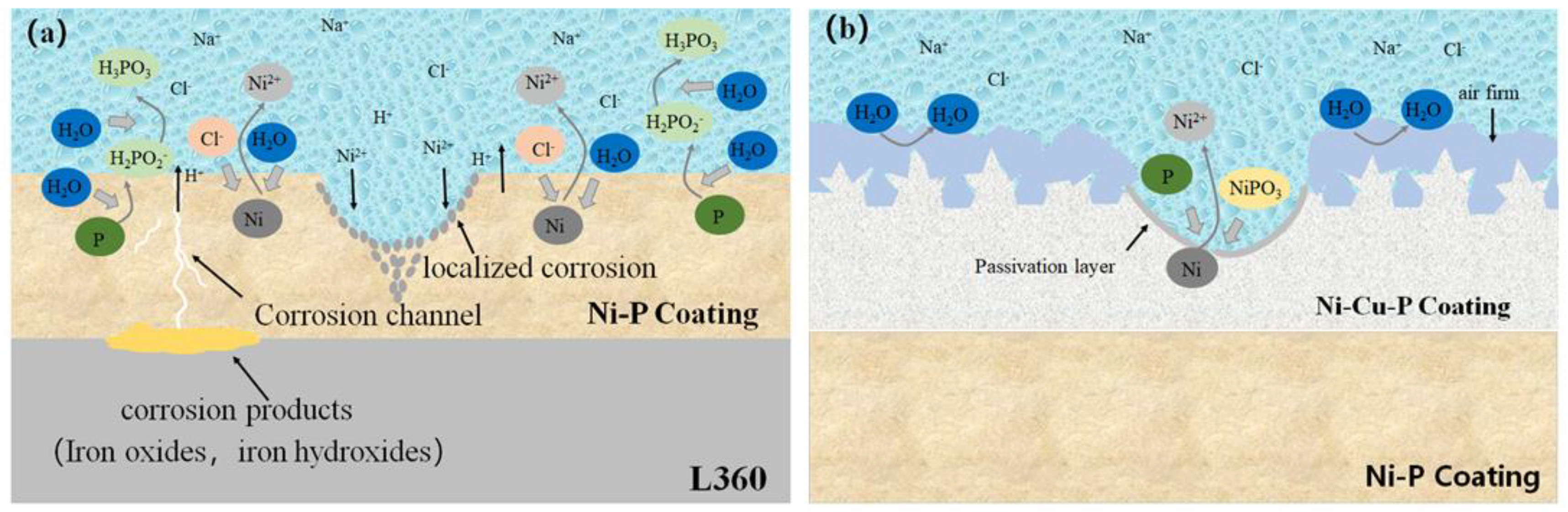 Coatings 14 00871 g010