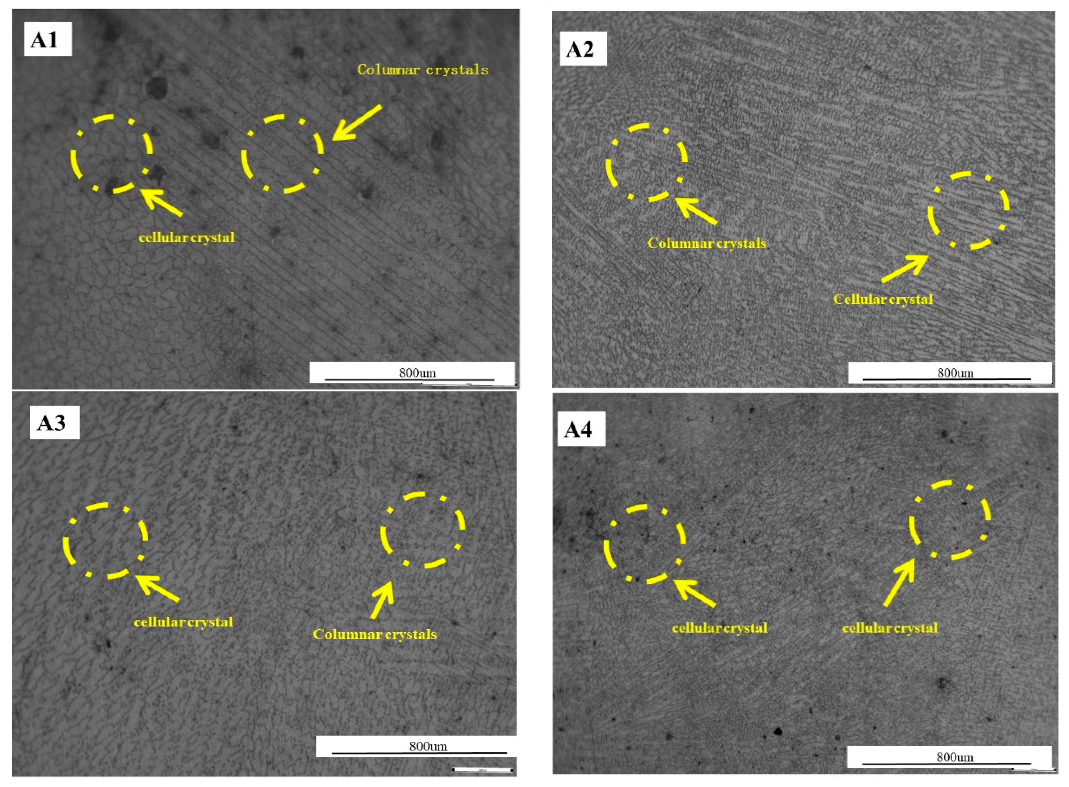 Coatings 14 00872 g005
