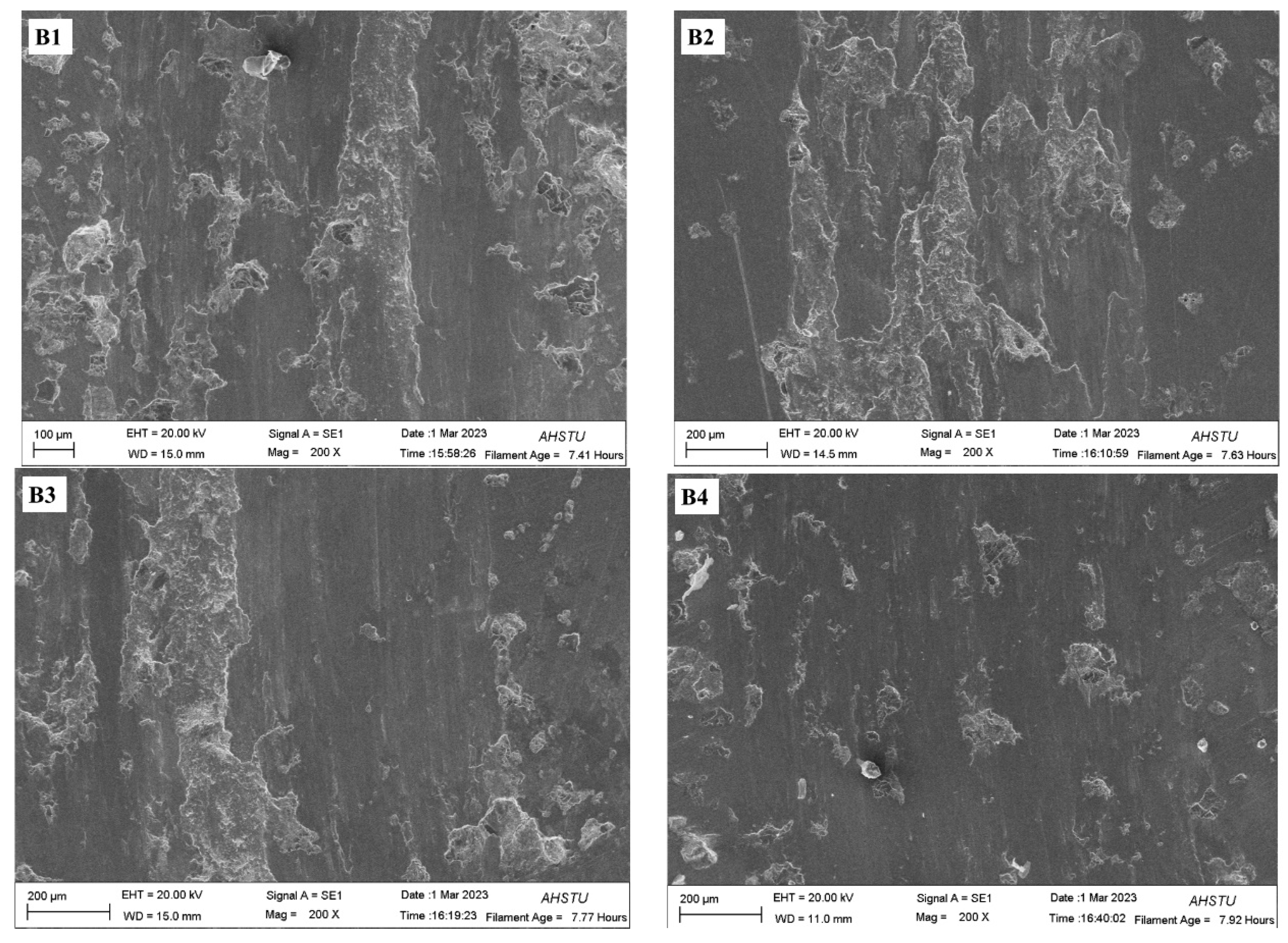 Coatings 14 00872 g012