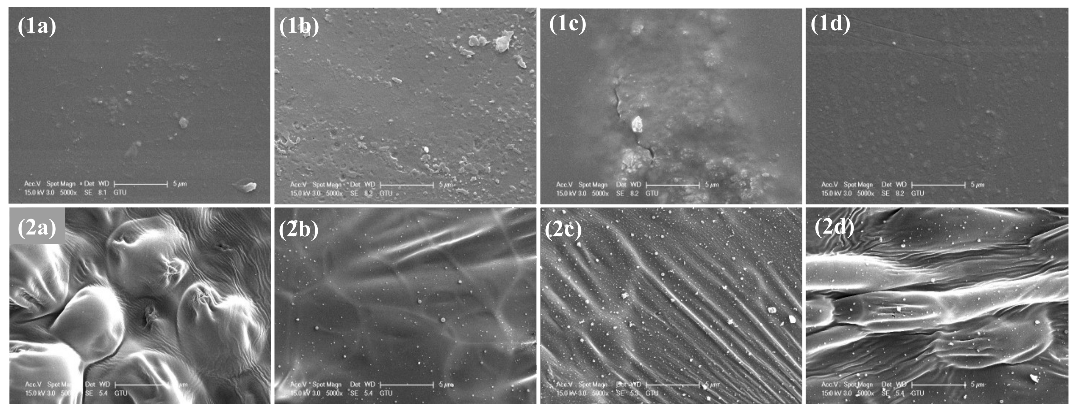 Coatings 14 00873 g009