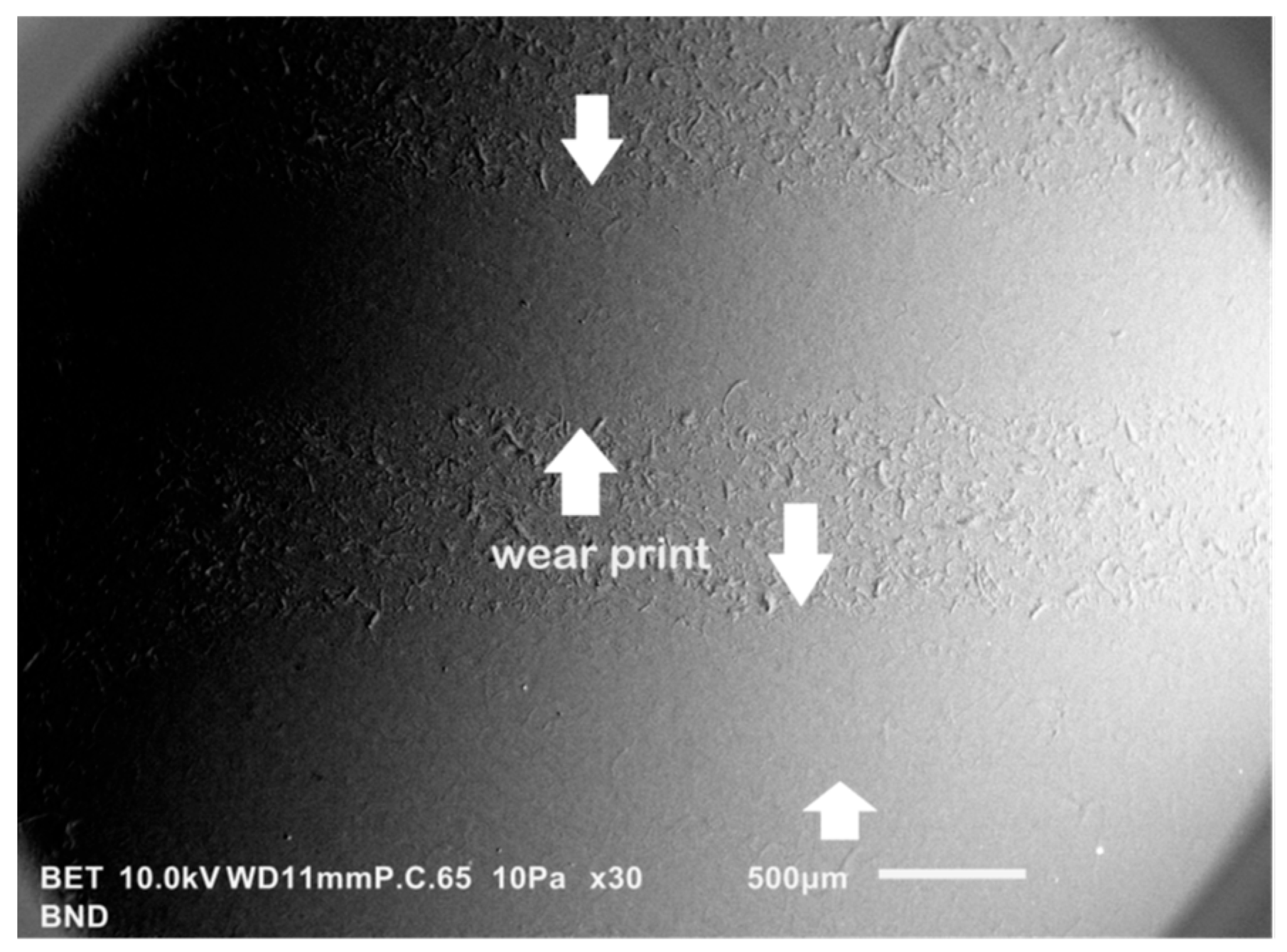 Coatings 14 00876 g009