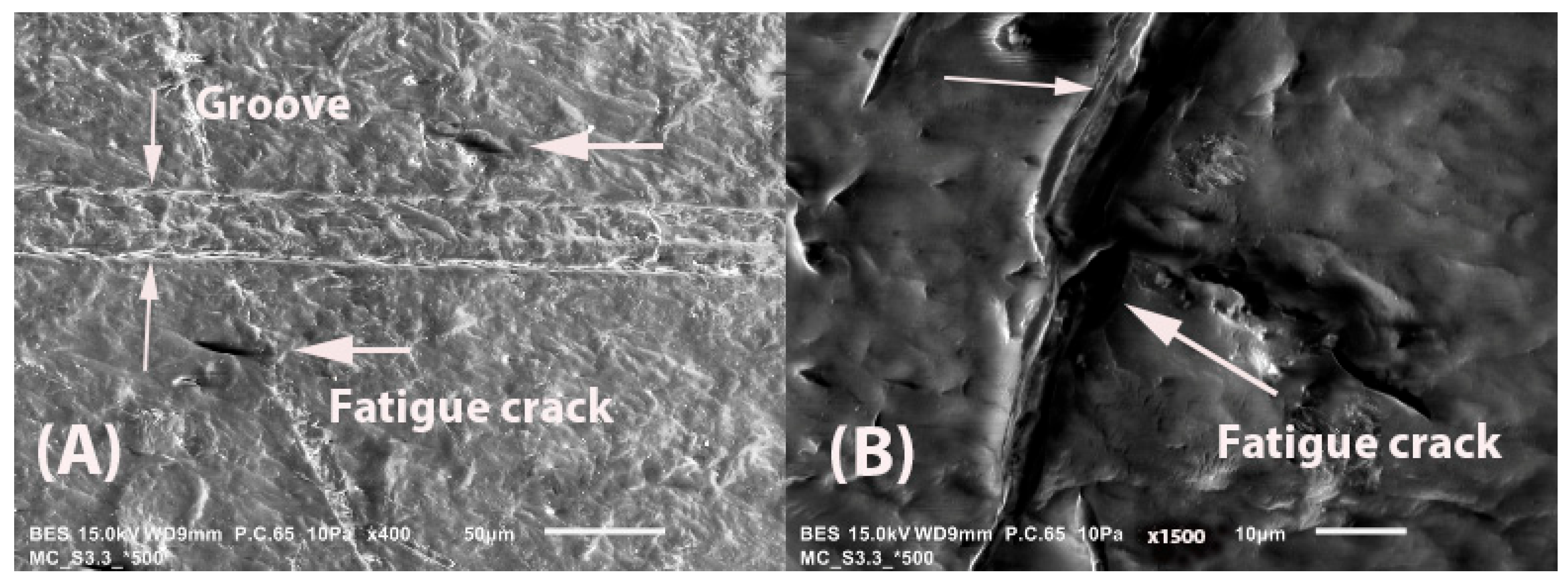 Coatings 14 00876 g010