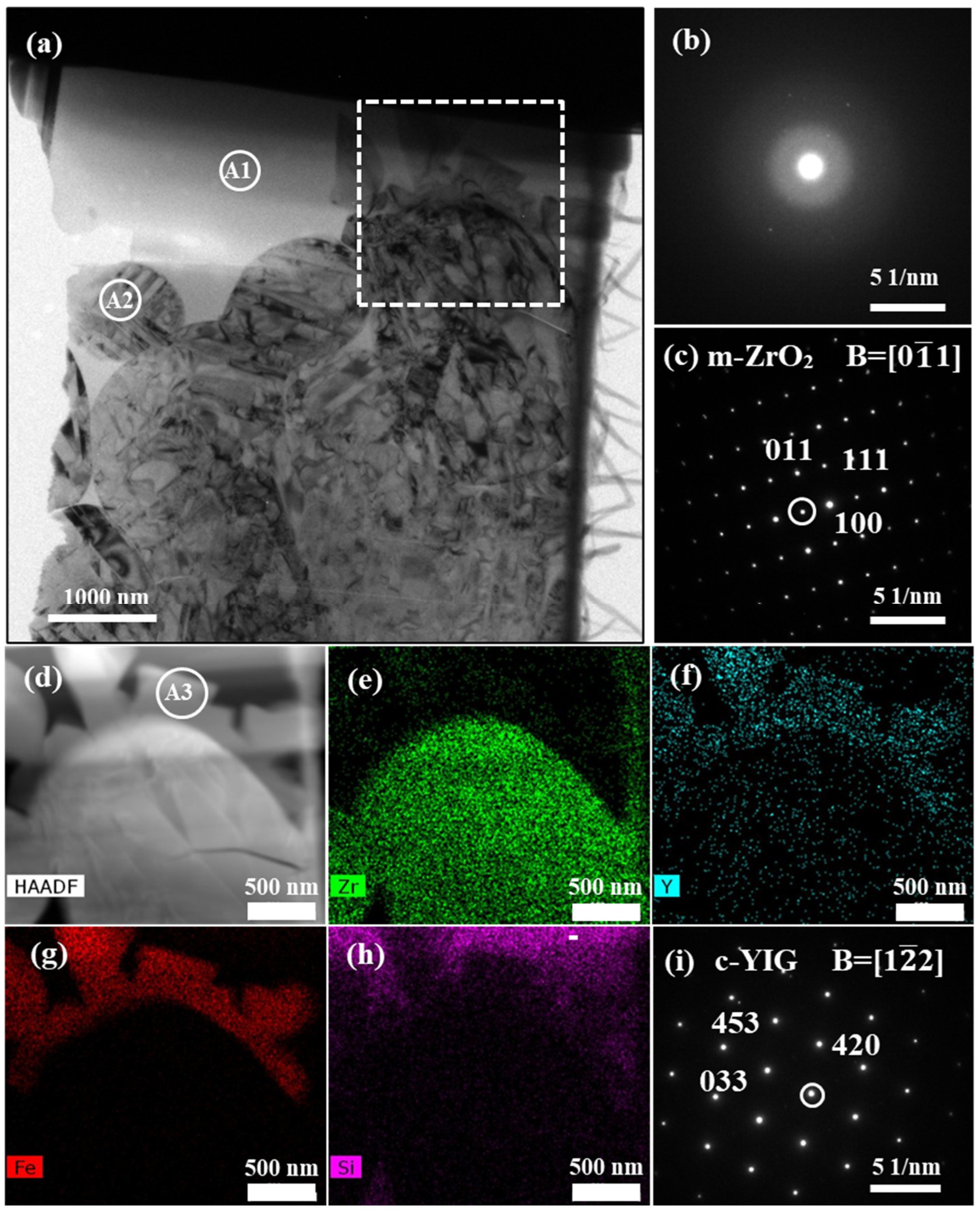 Coatings 14 00877 g007