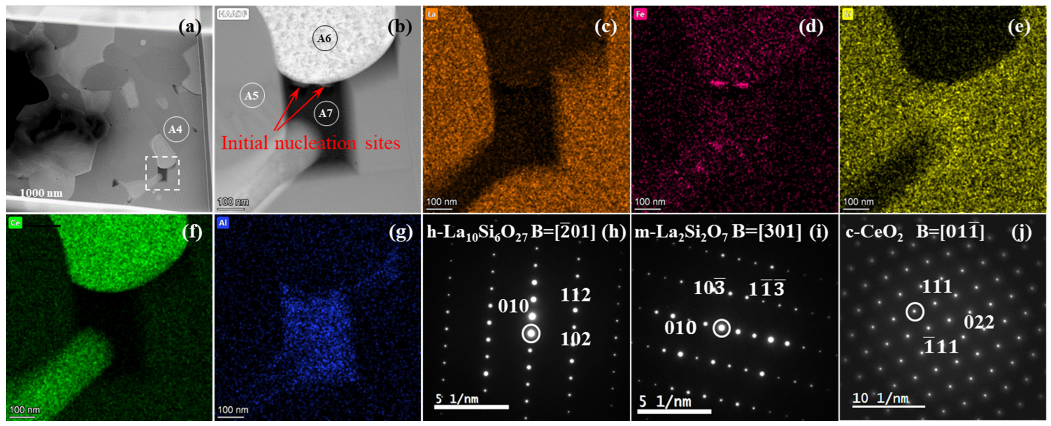 Coatings 14 00877 g008