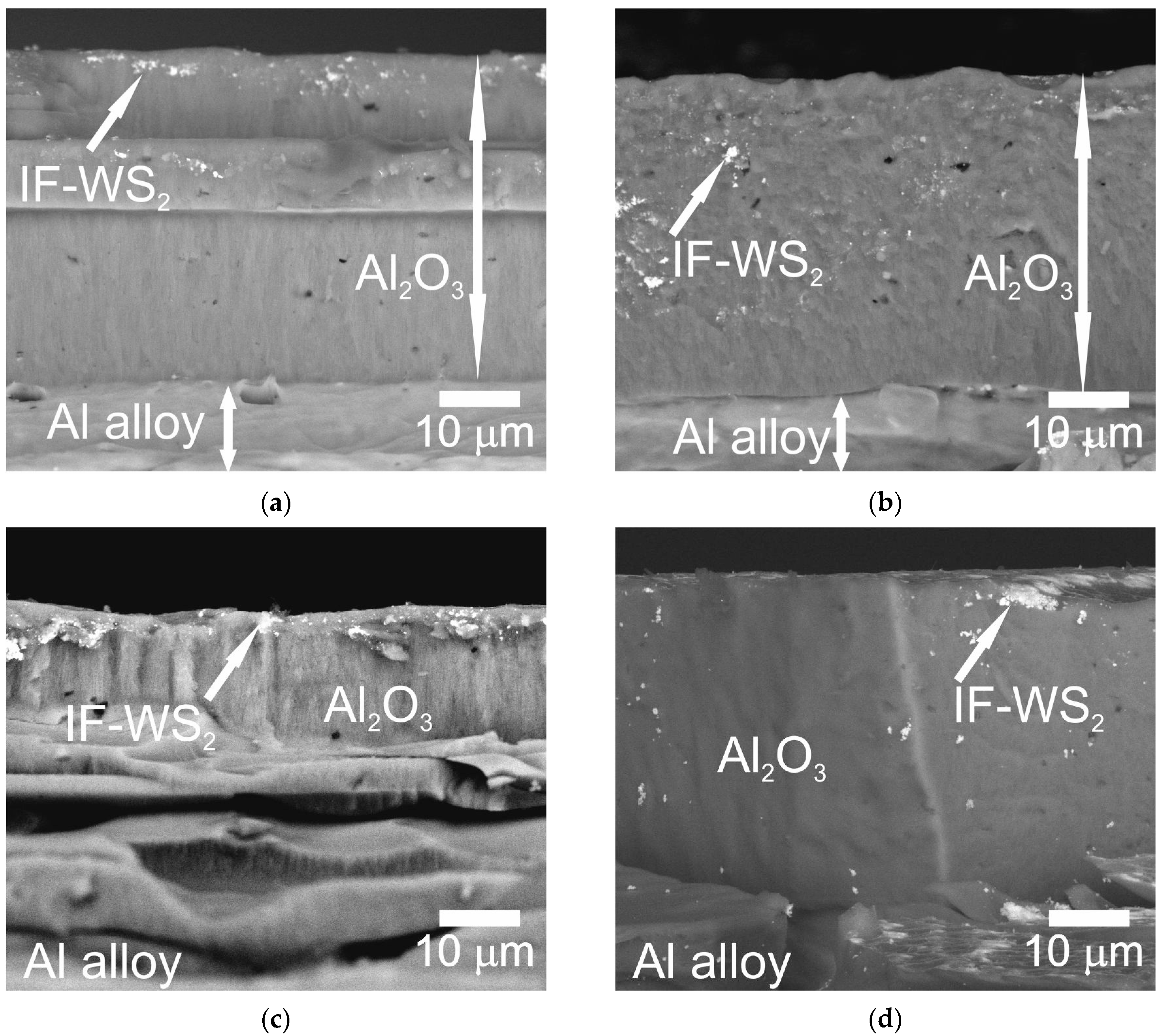 Coatings 14 00883 g001
