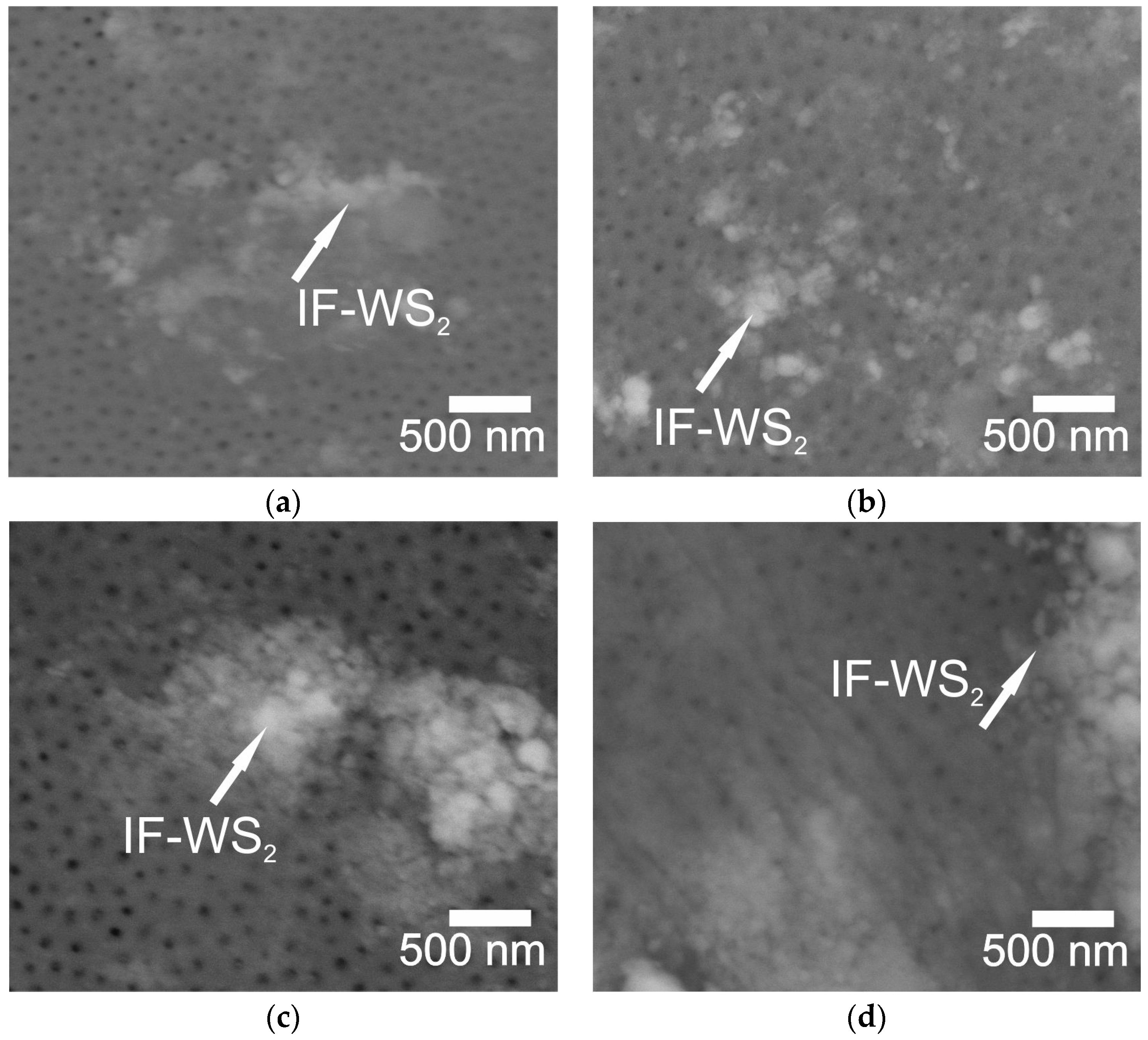 Coatings 14 00883 g007