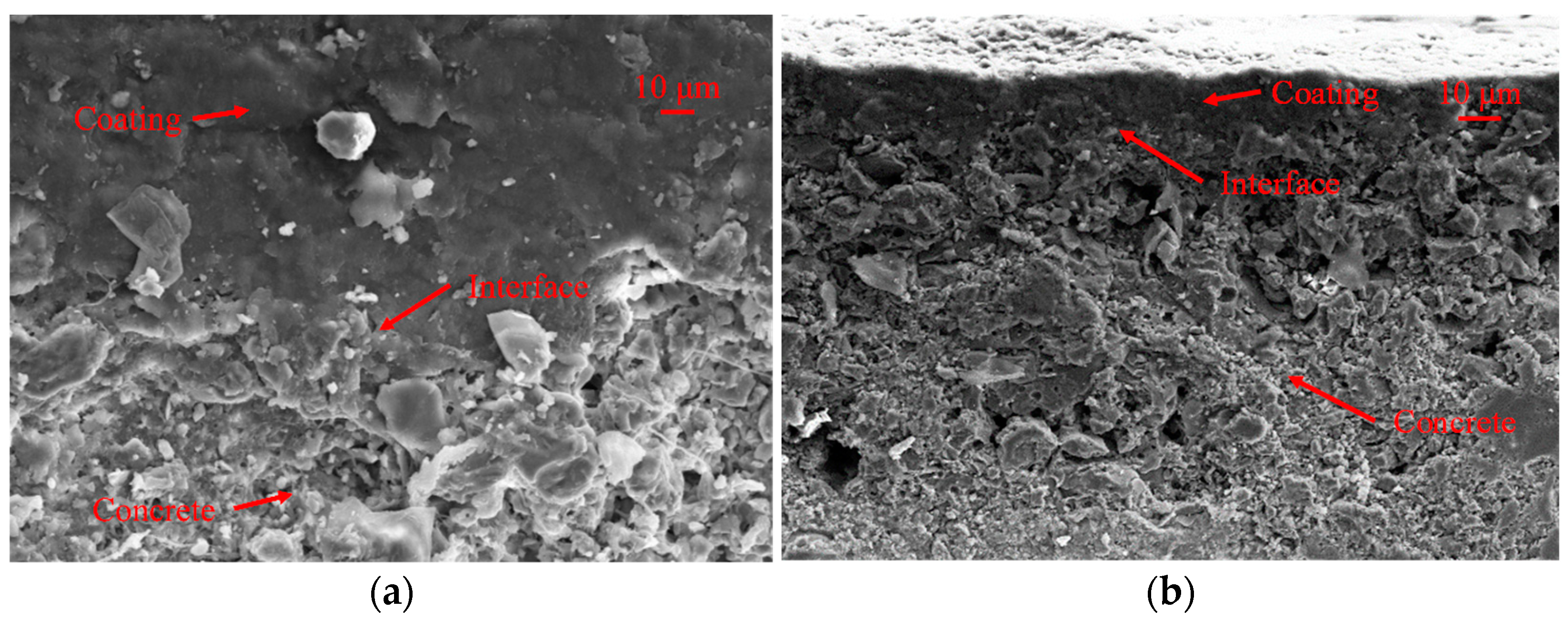 Coatings 14 00885 g009