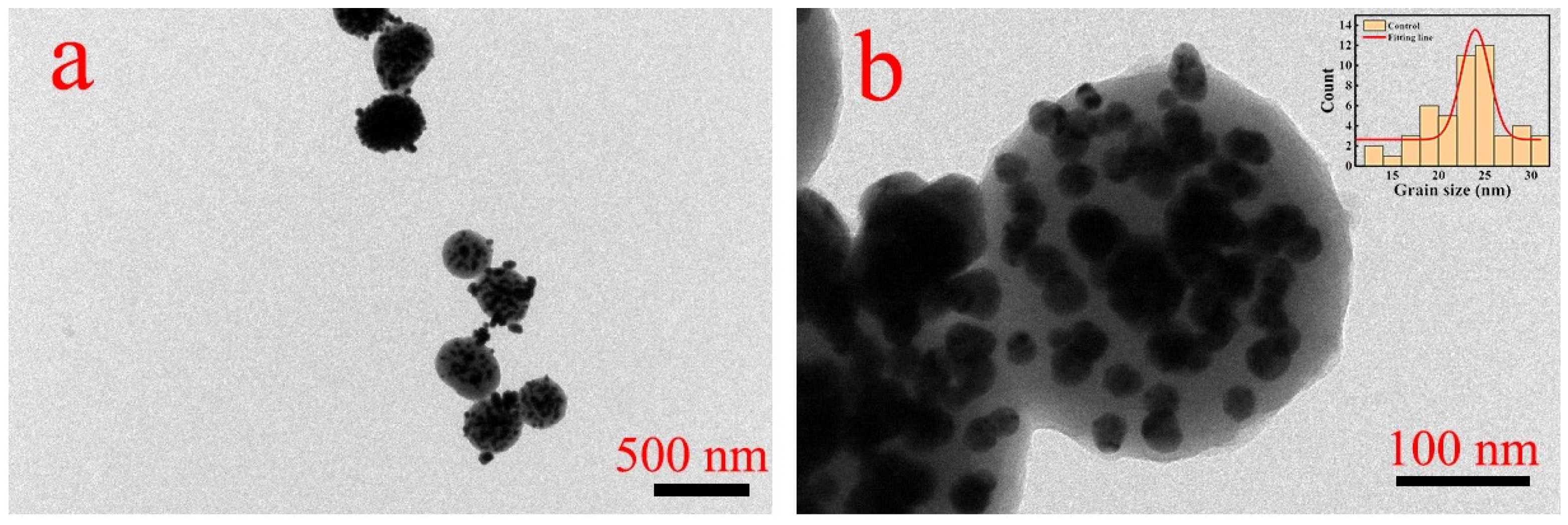 Coatings 14 00887 g004