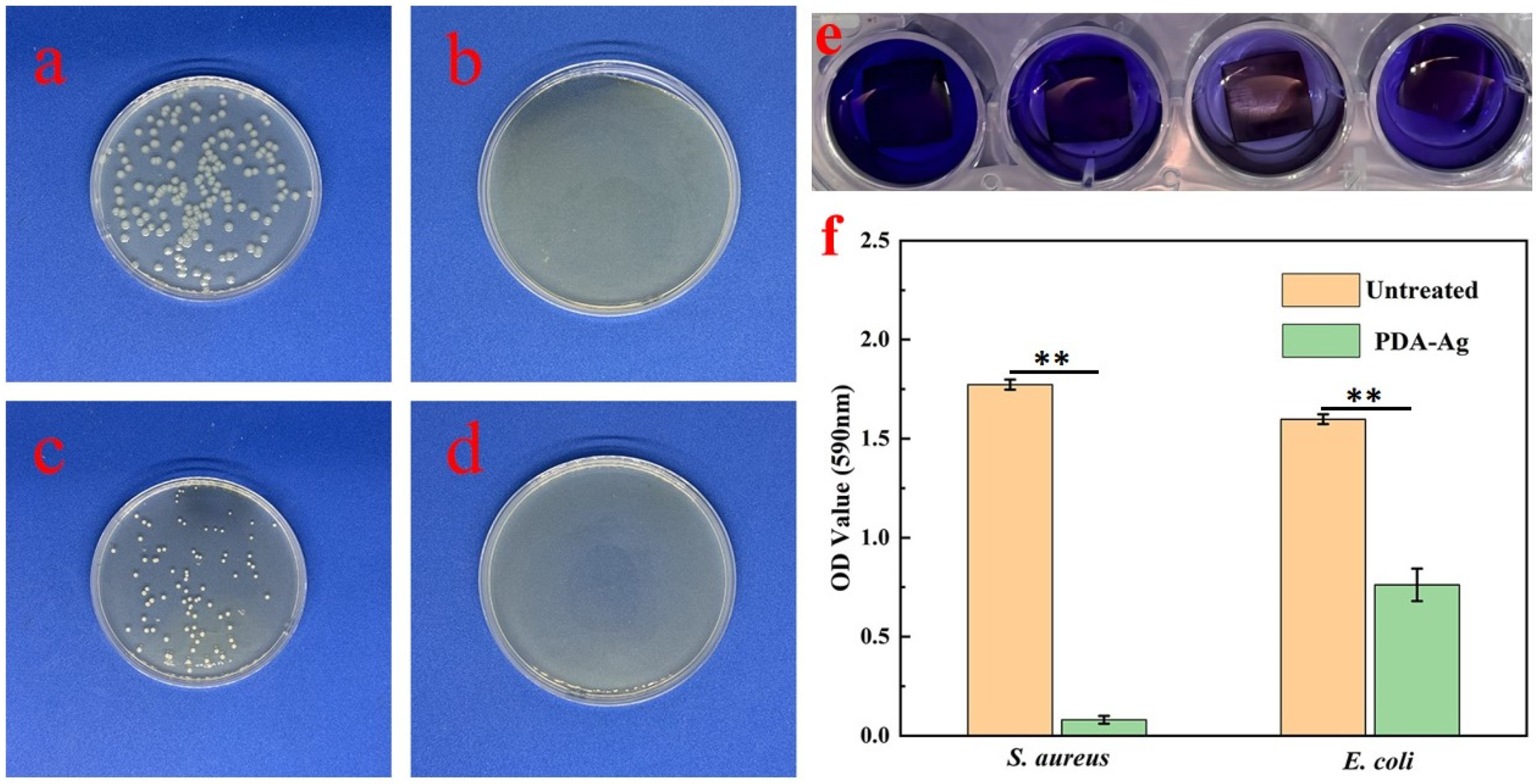 Coatings 14 00887 g009