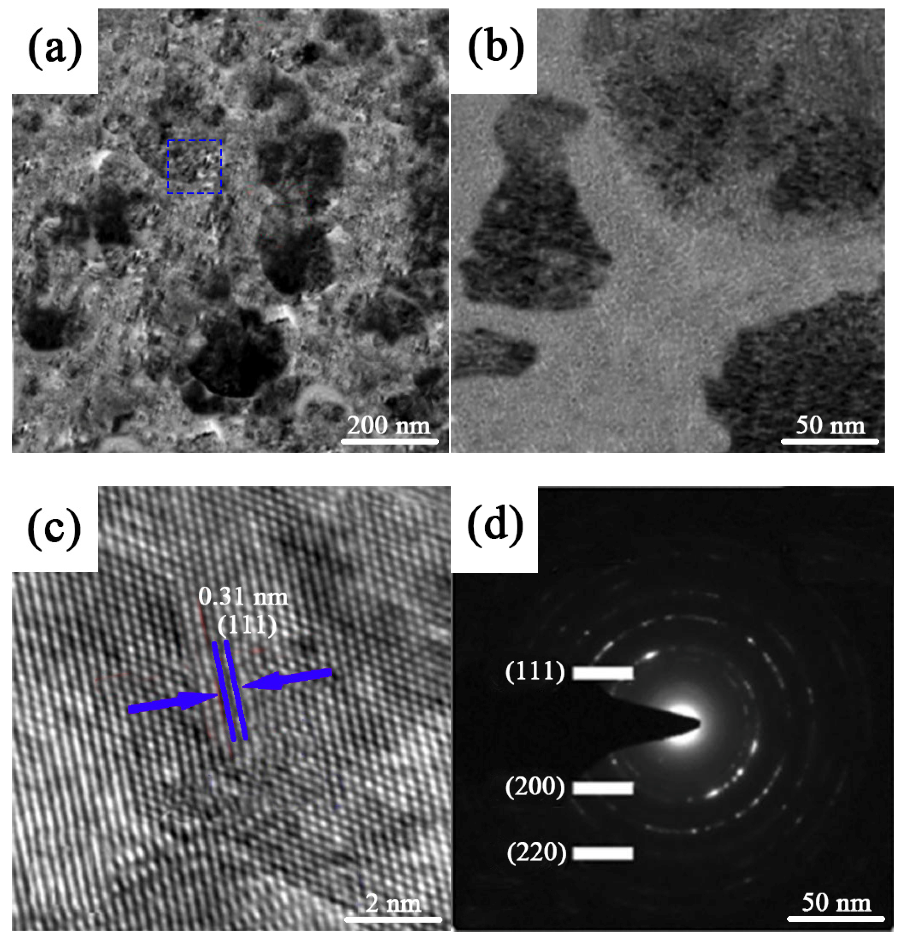 Coatings 14 00891 g004