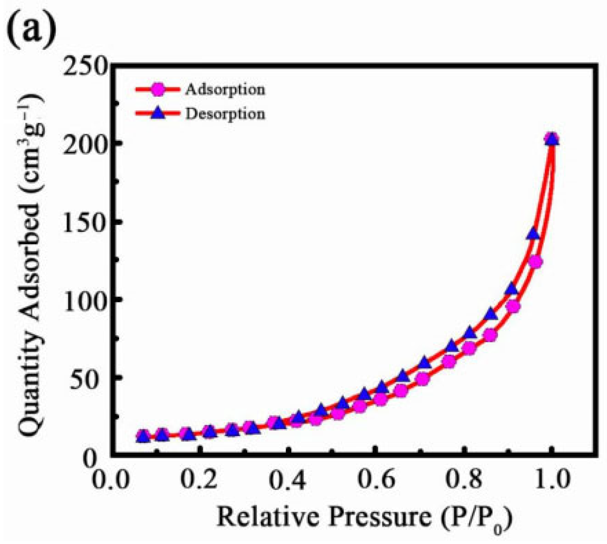 Coatings 14 00891 g005a