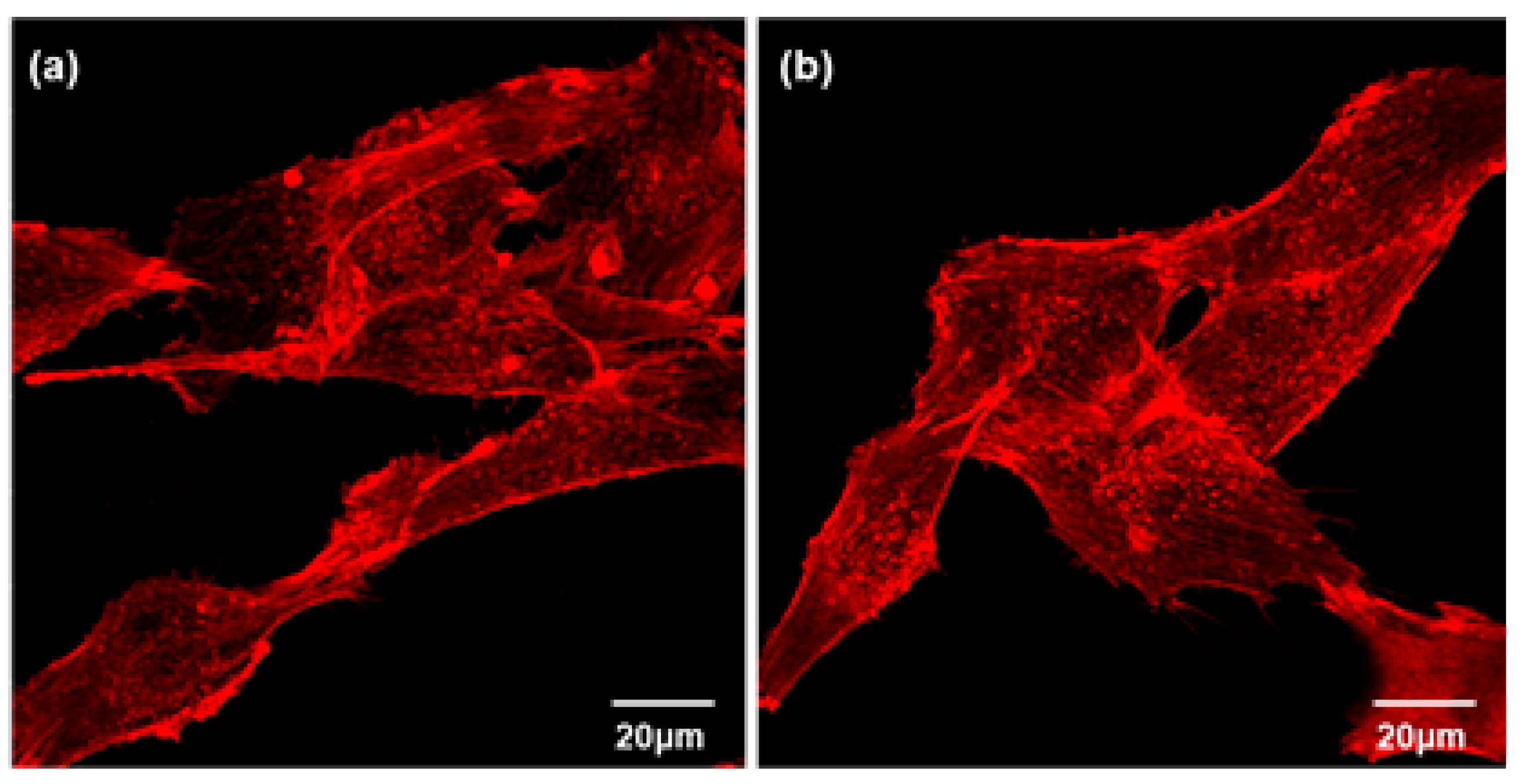Coatings 14 00893 g012