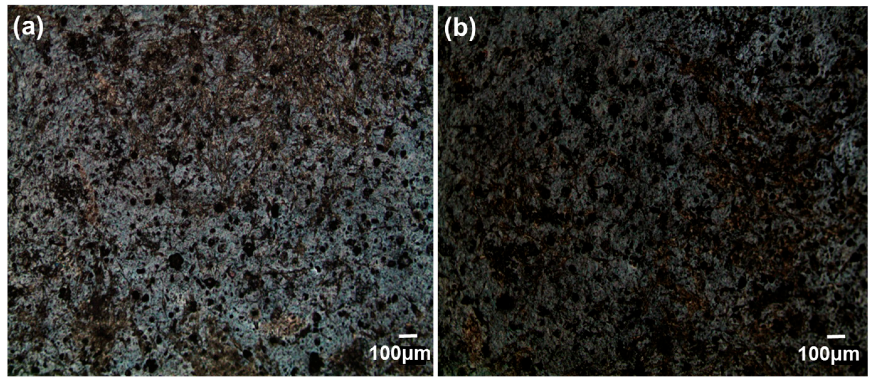 Coatings 14 00893 g013