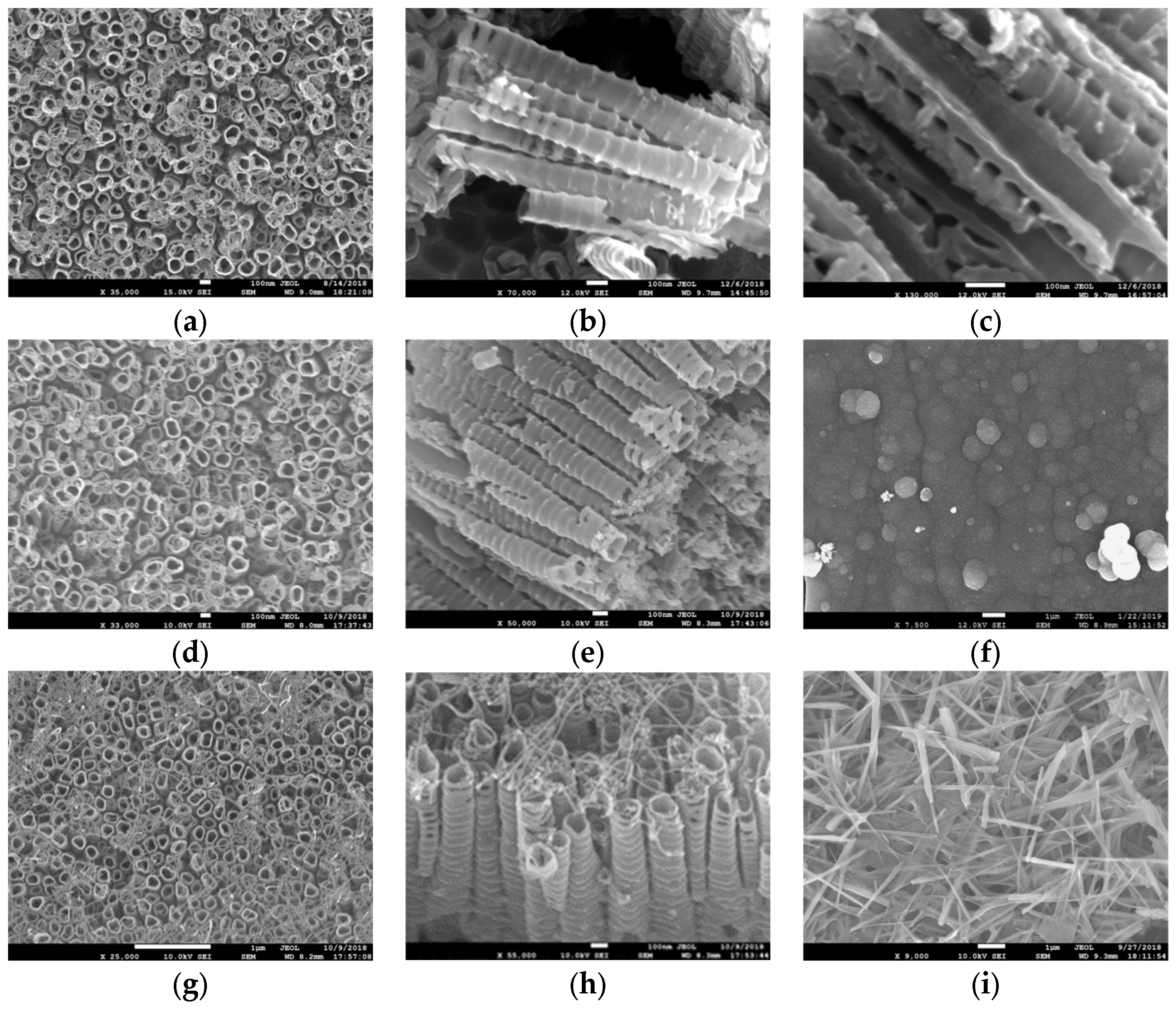 Coatings 14 00894 g004