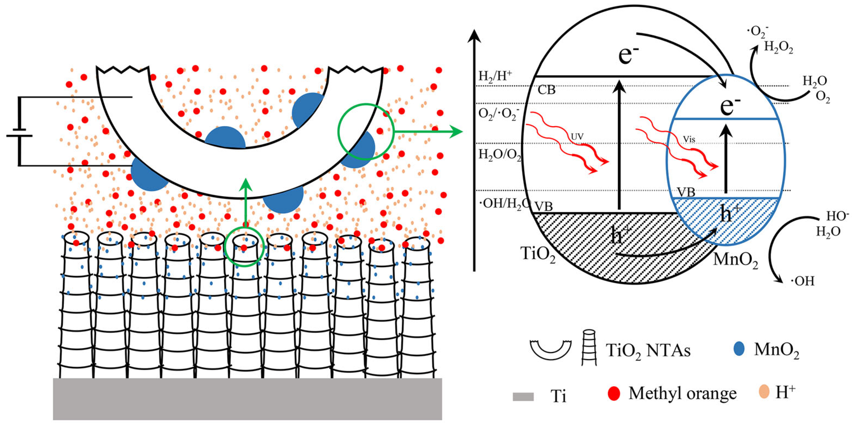 Coatings 14 00894 g011