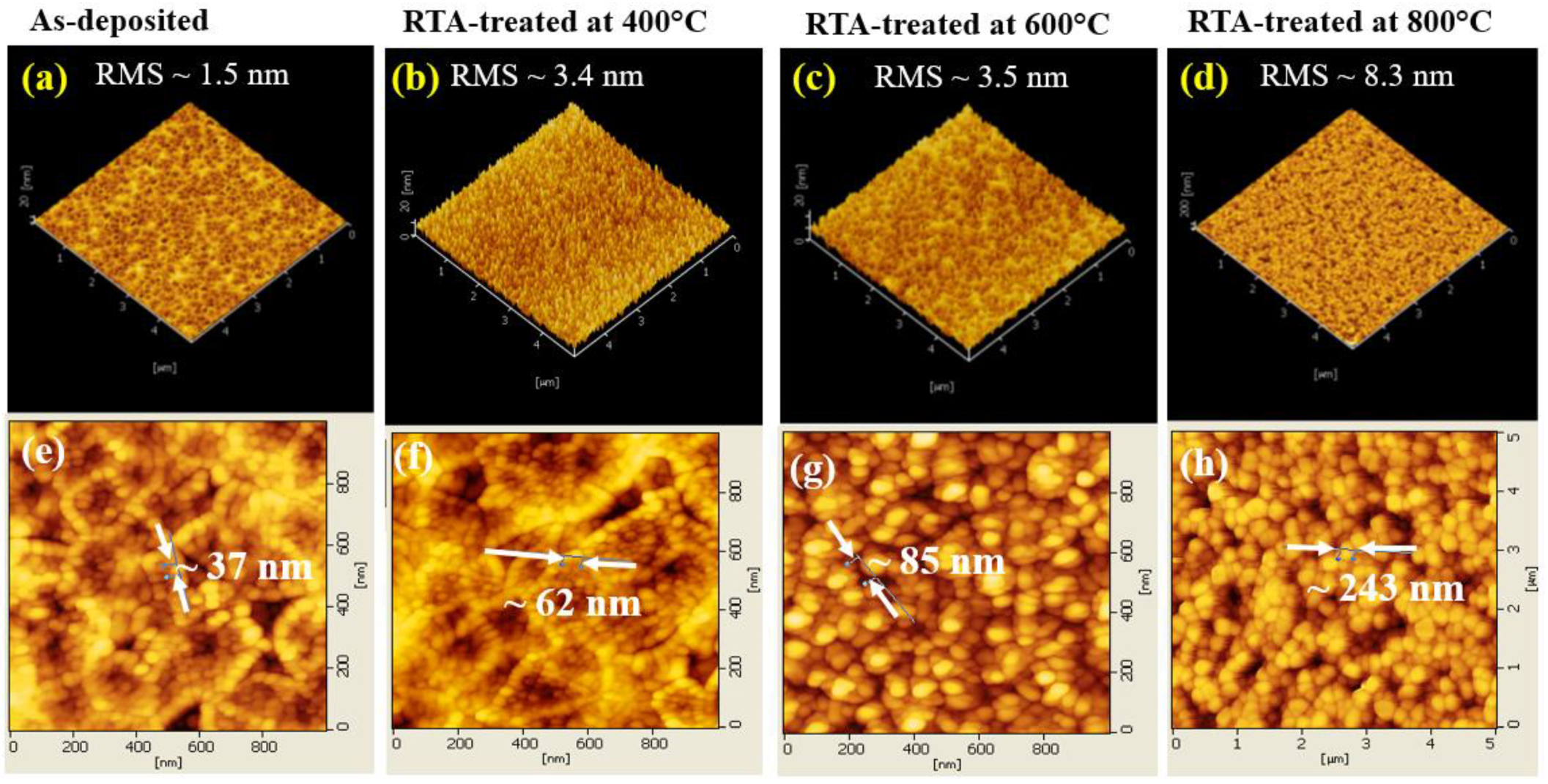 Coatings 14 00895 g002 Coatings 14 00895 g002