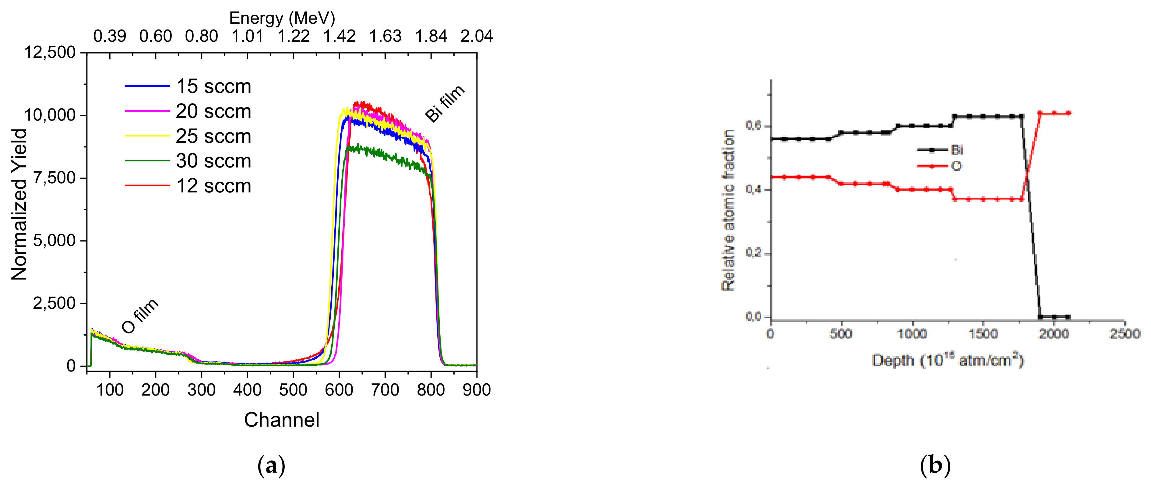 Coatings 14 00896 g002