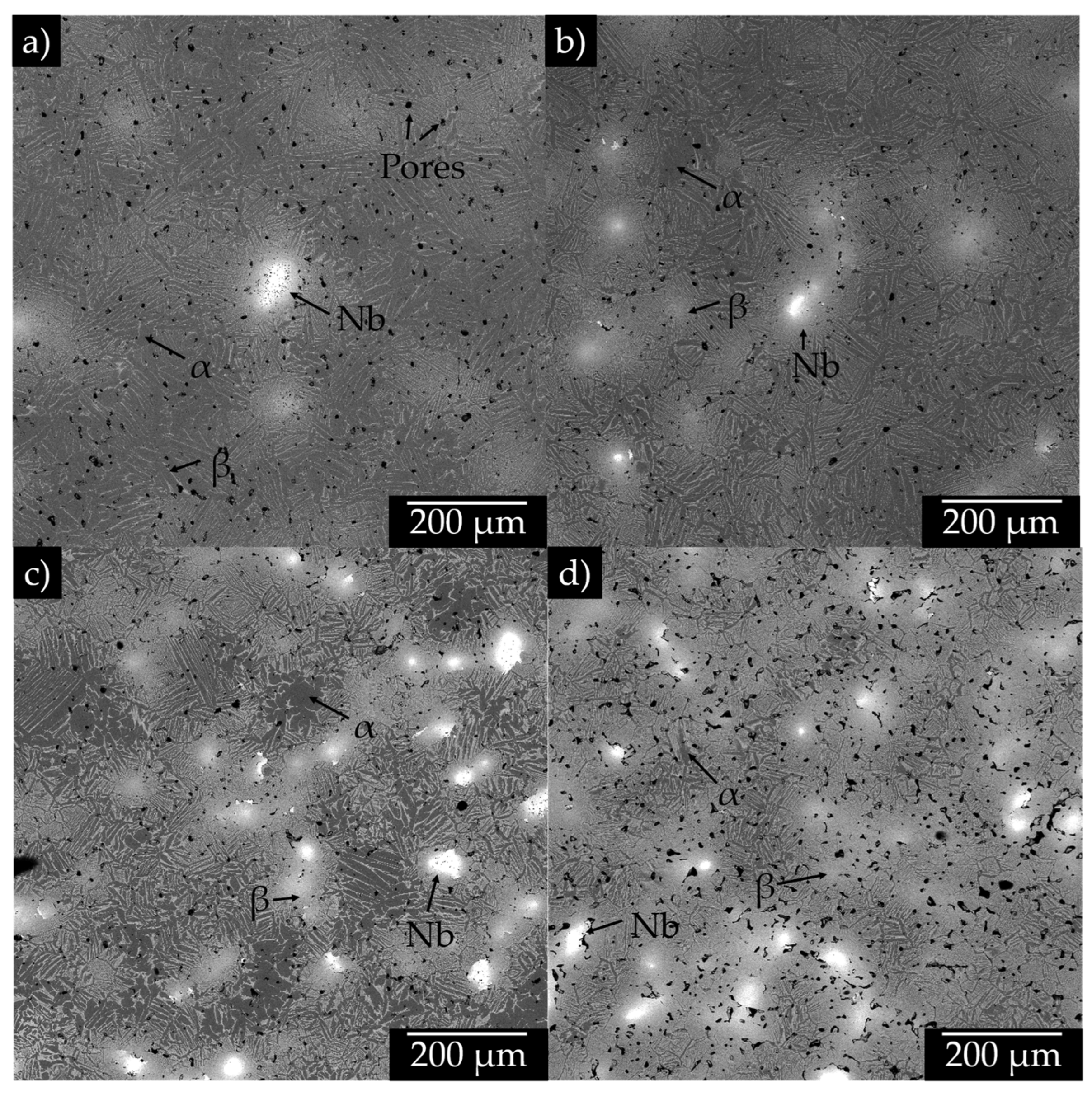 Coatings 14 00897 g004