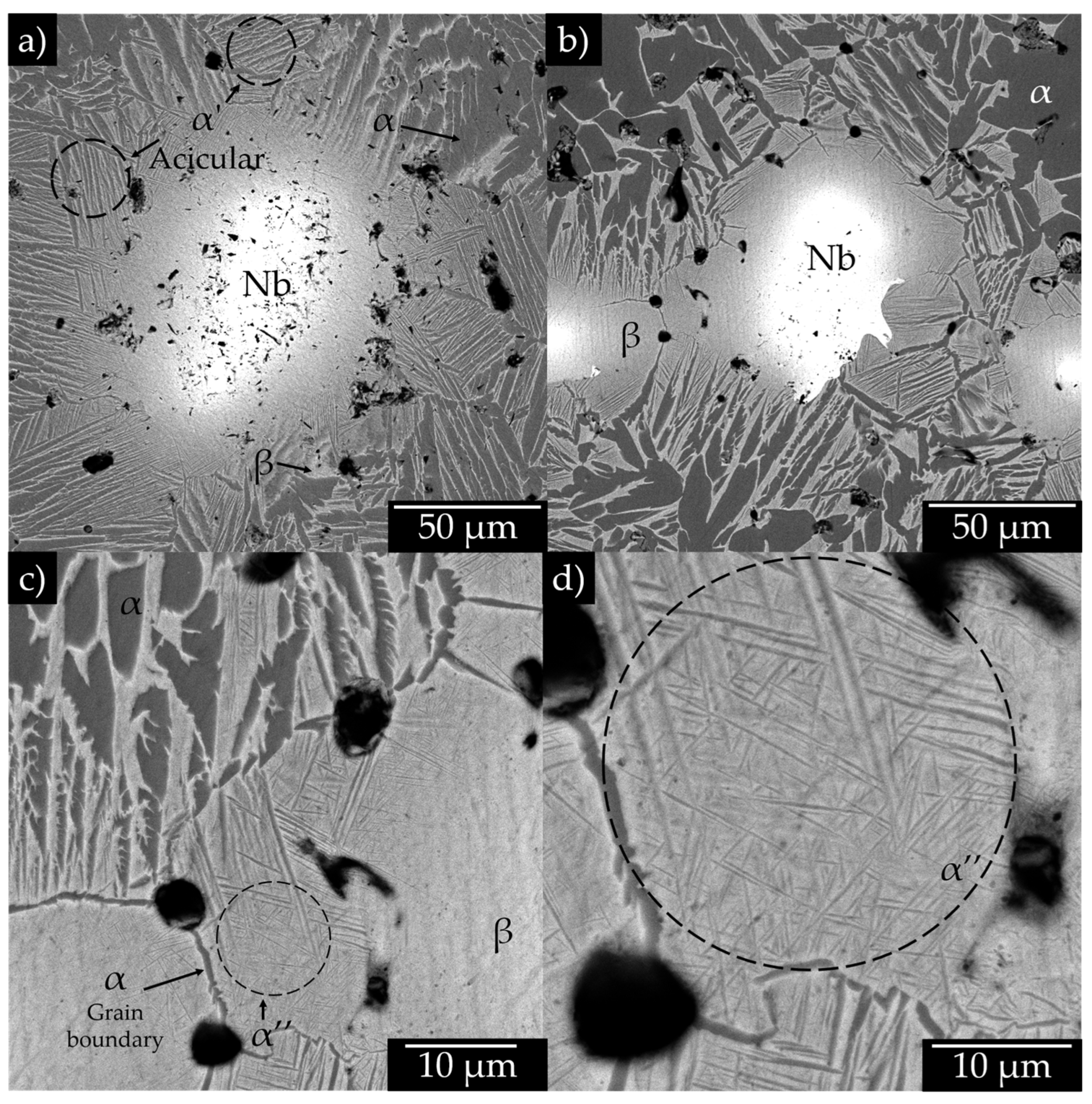 Coatings 14 00897 g005
