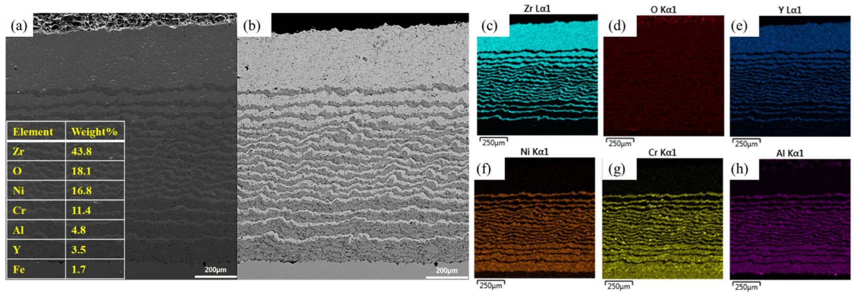 Coatings 14 00899 g003
