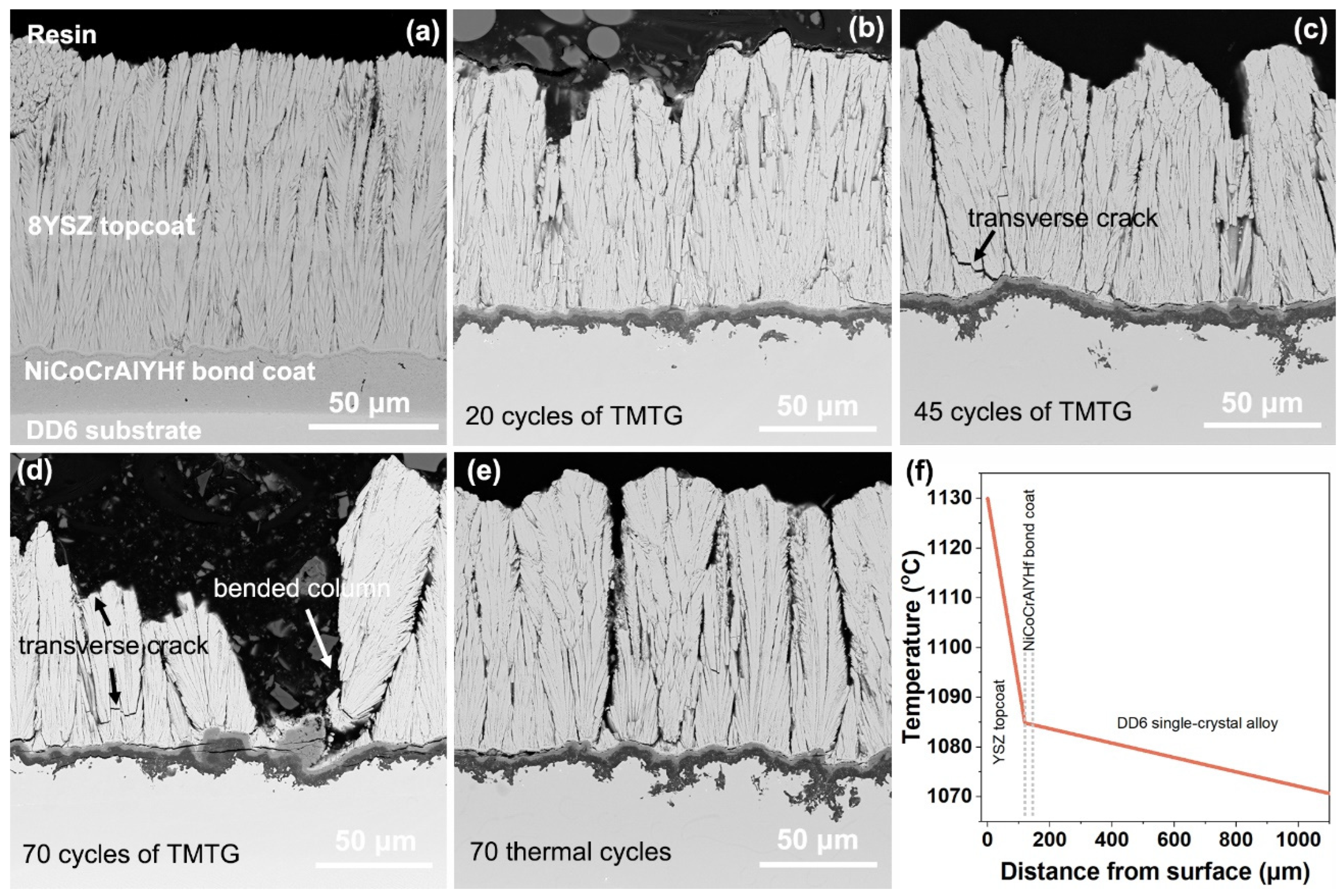 Coatings 14 00902 g003