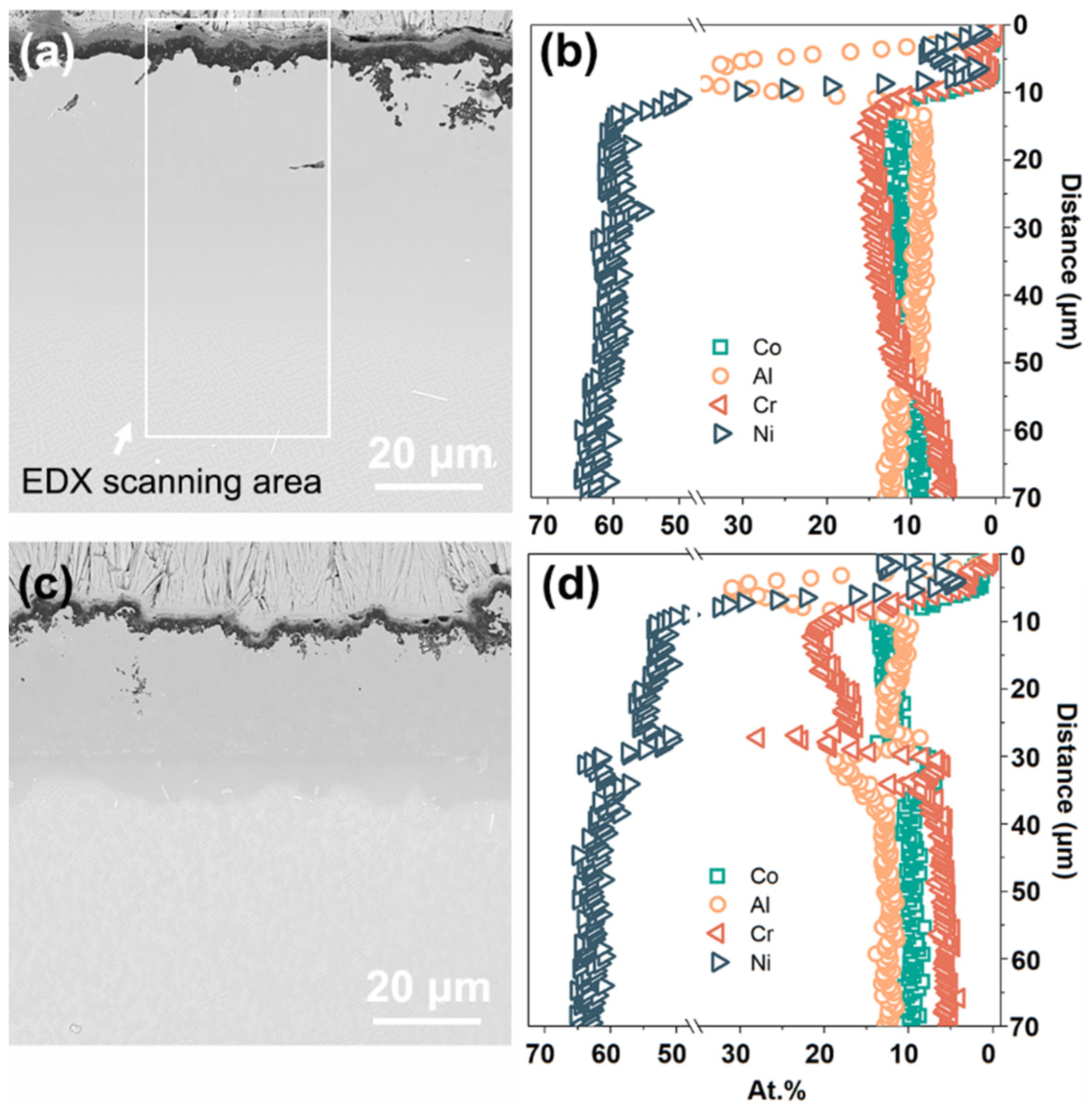Coatings 14 00902 g005