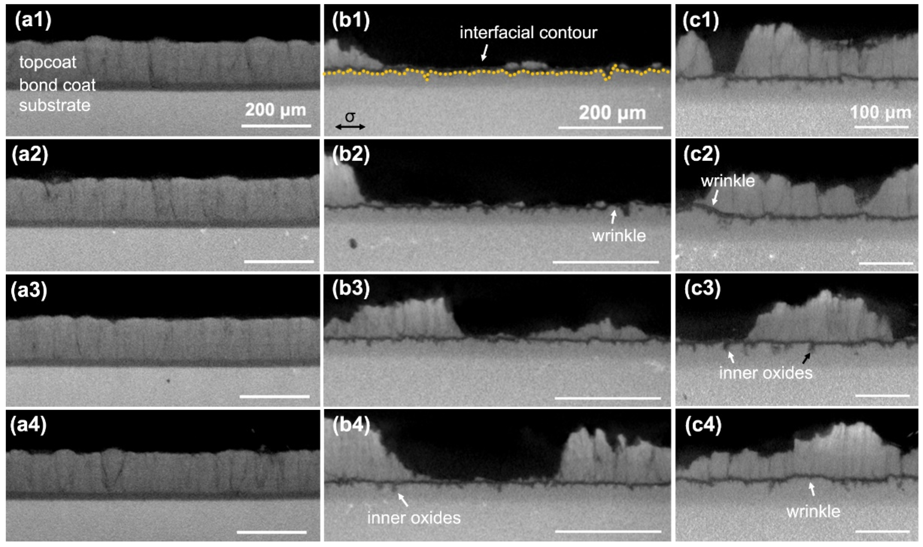 Coatings 14 00902 g007