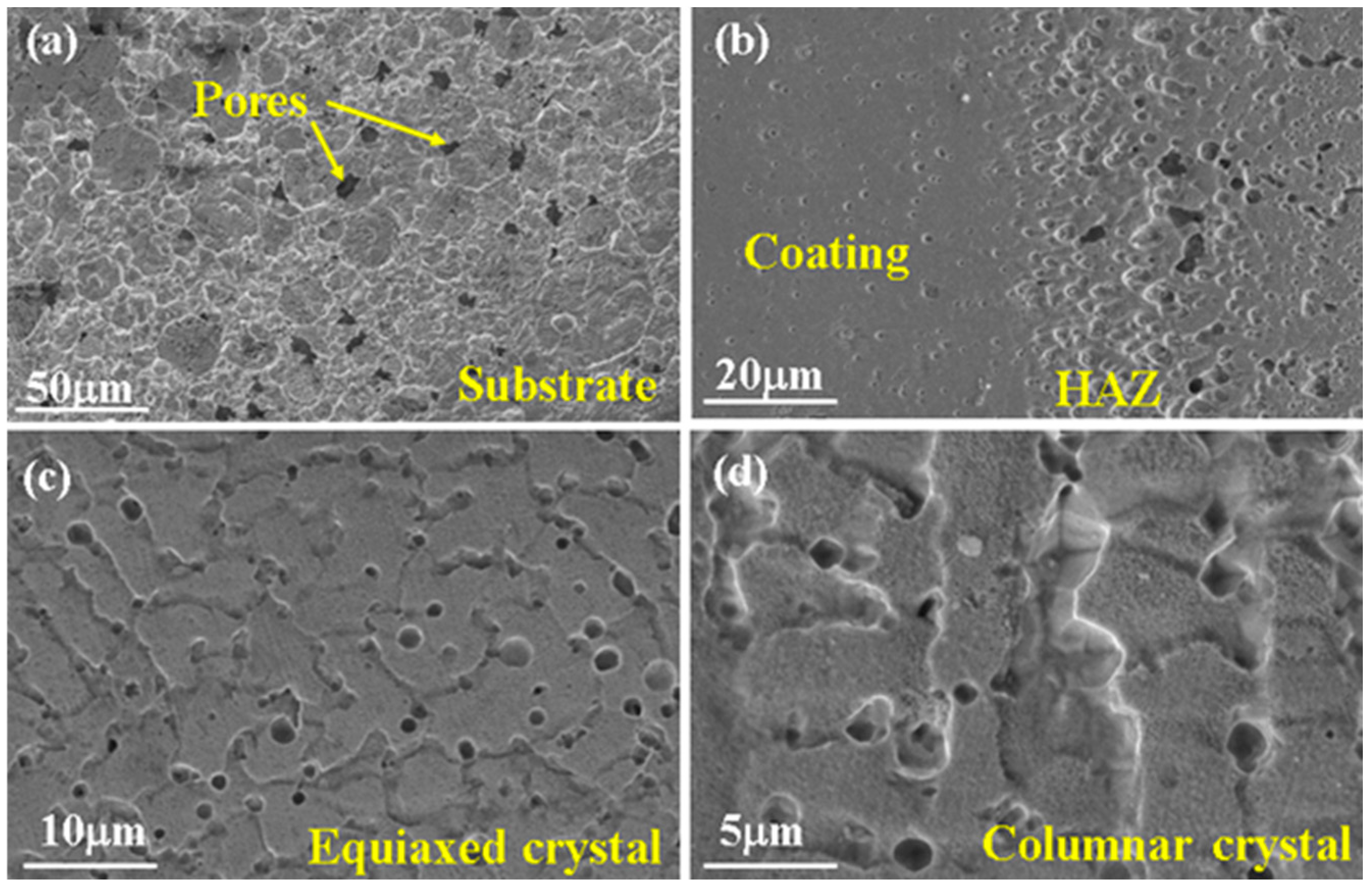 Coatings 14 00906 g003