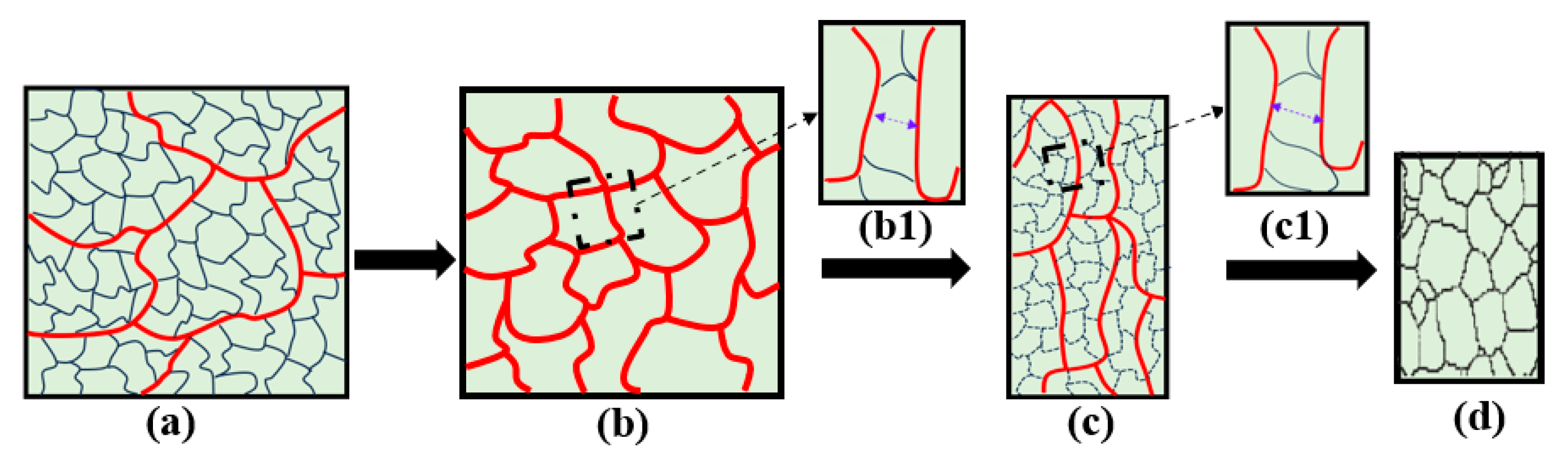 Coatings 14 00906 g007