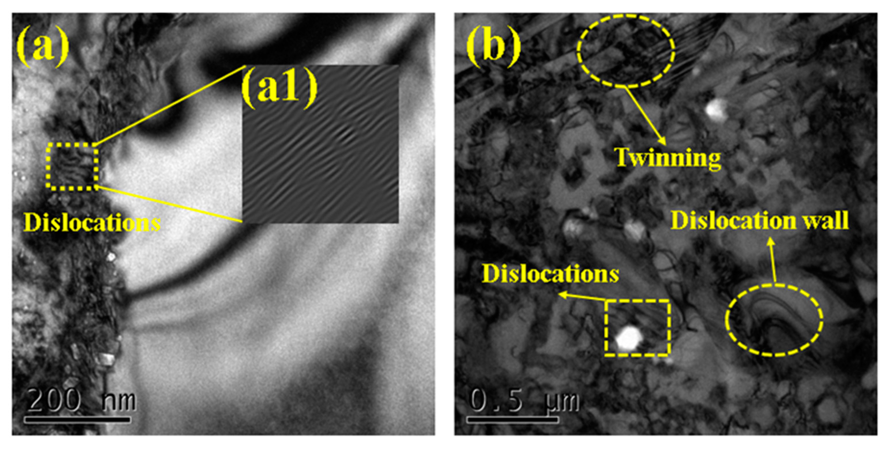 Coatings 14 00906 g008