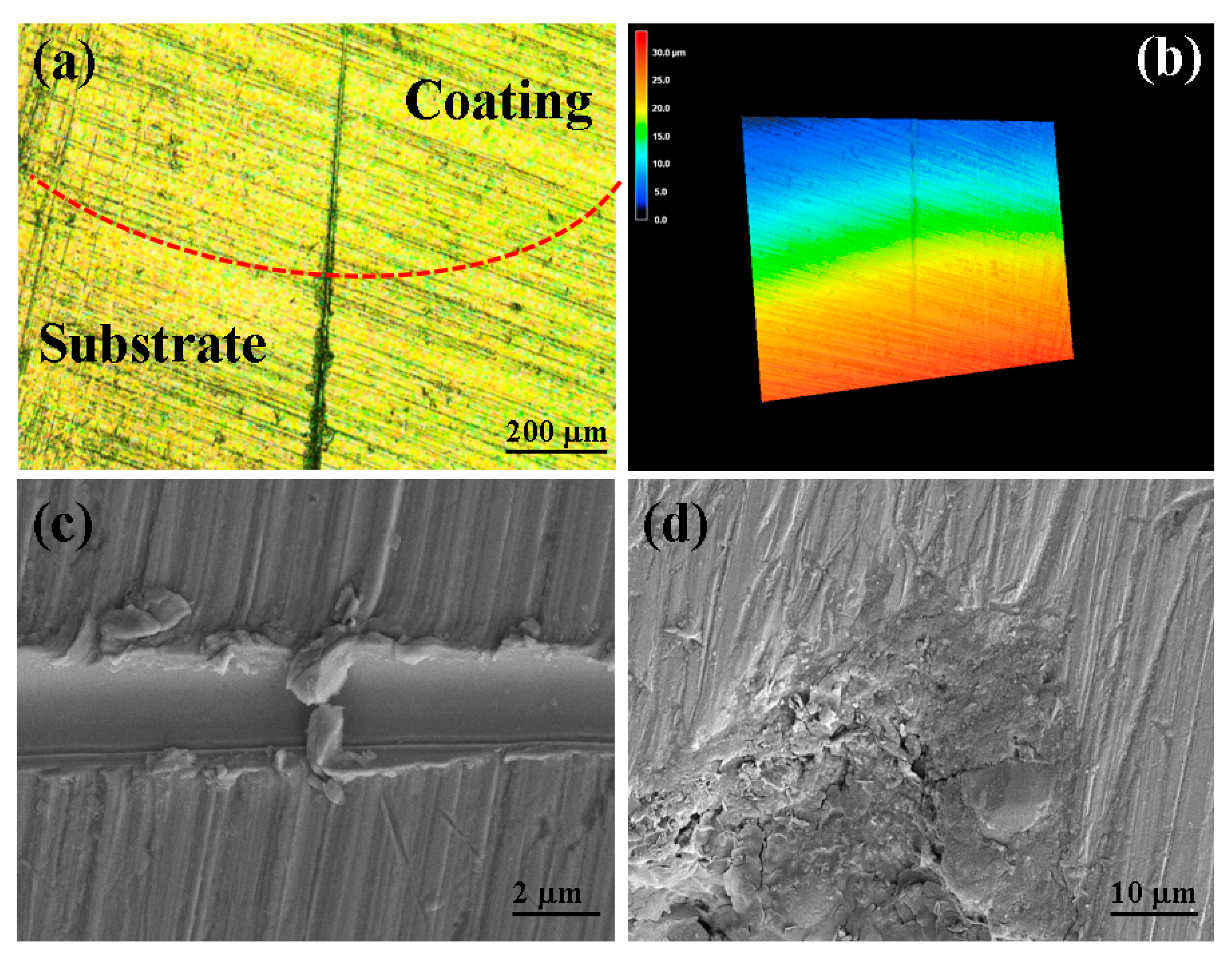 Coatings 14 00906 g010