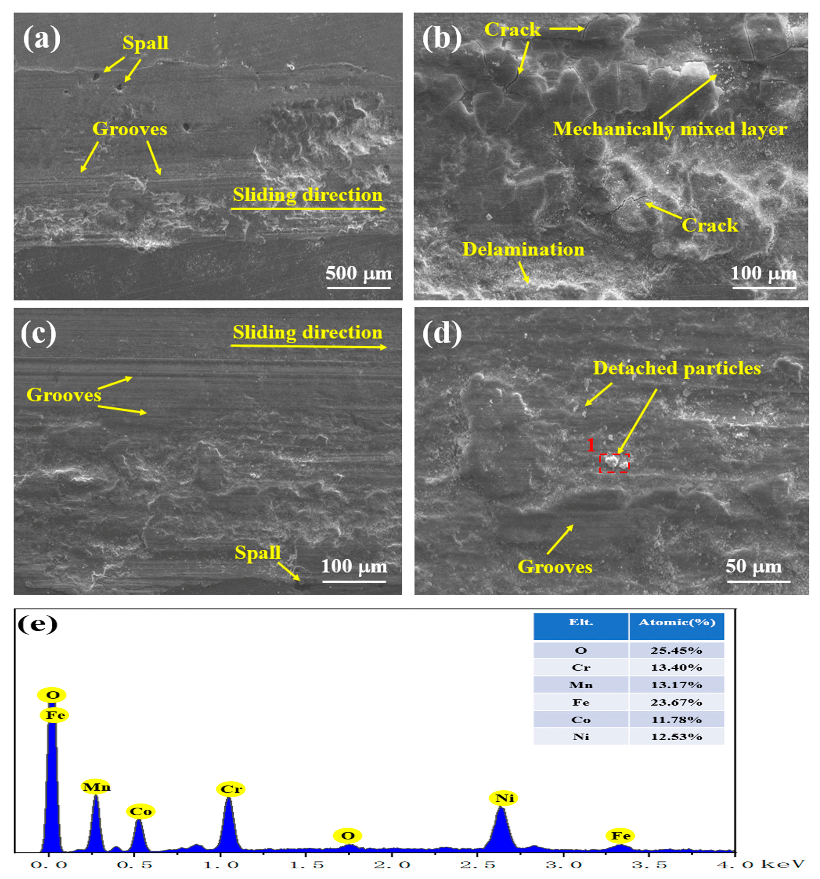 Coatings 14 00906 g012