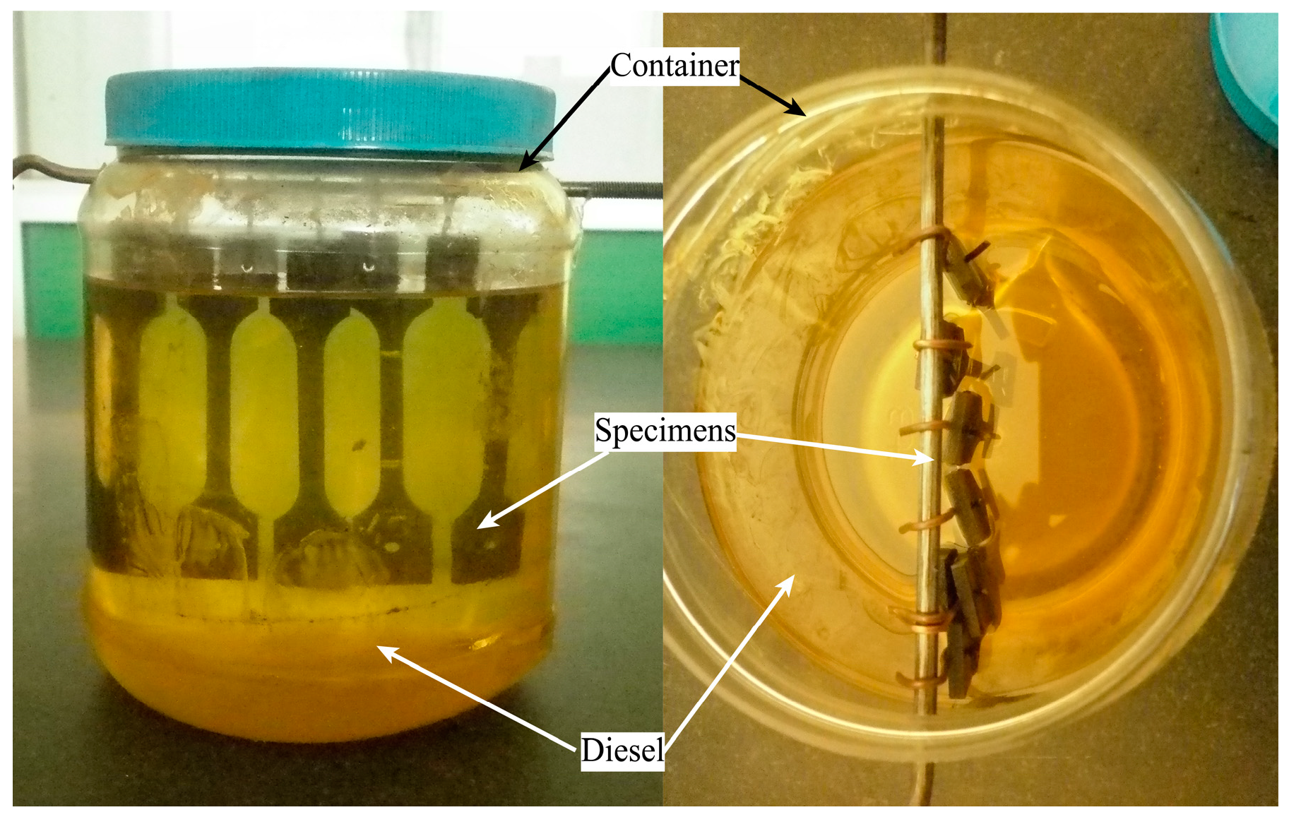 Coatings 14 00912 g003 Coatings 14 00912 g003