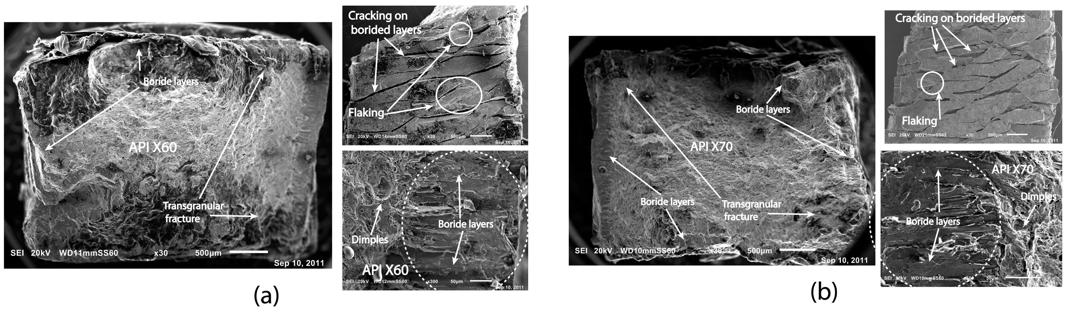 Coatings 14 00912 g008 Coatings 14 00912 g008
