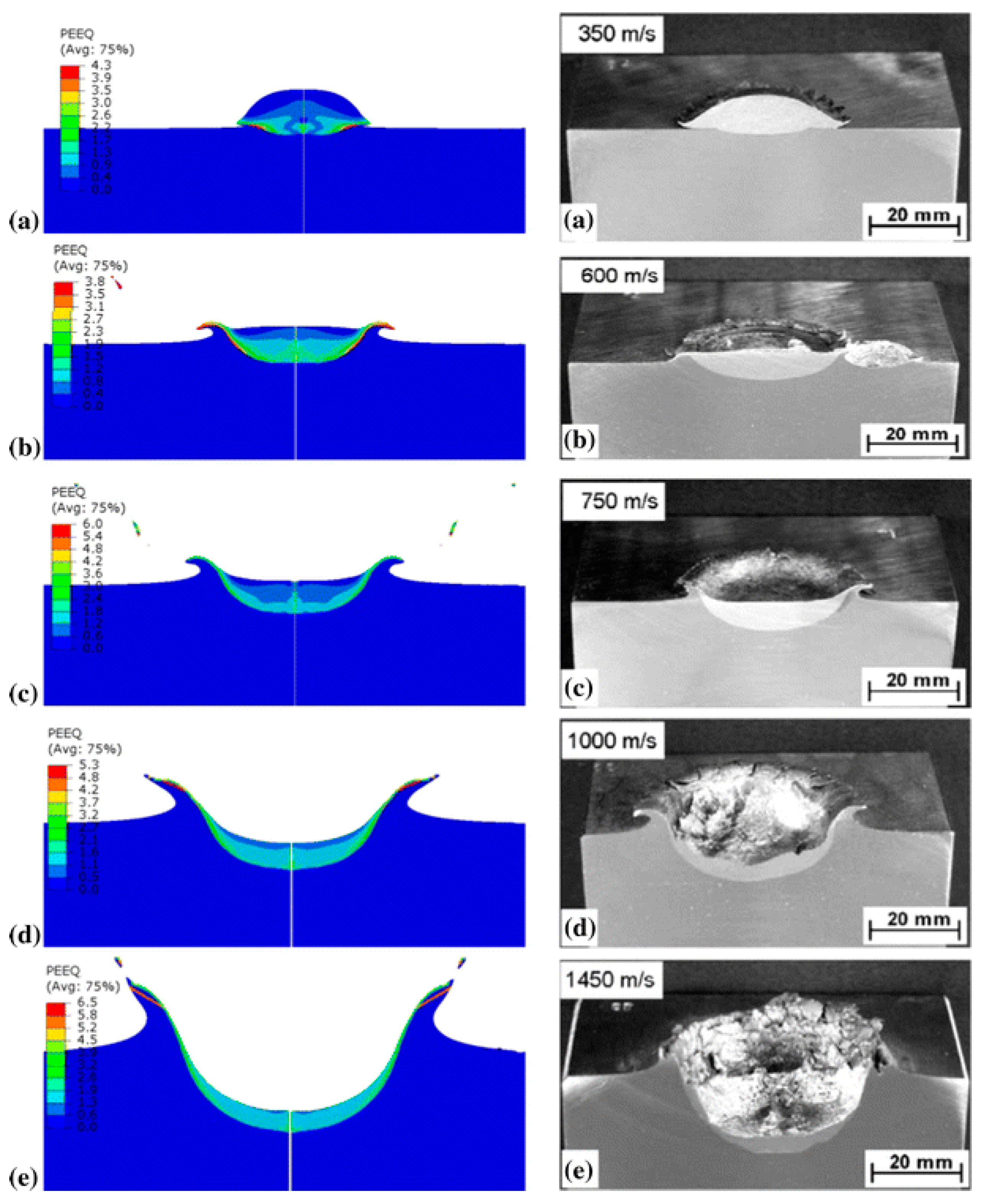 Coatings 14 00913 g012