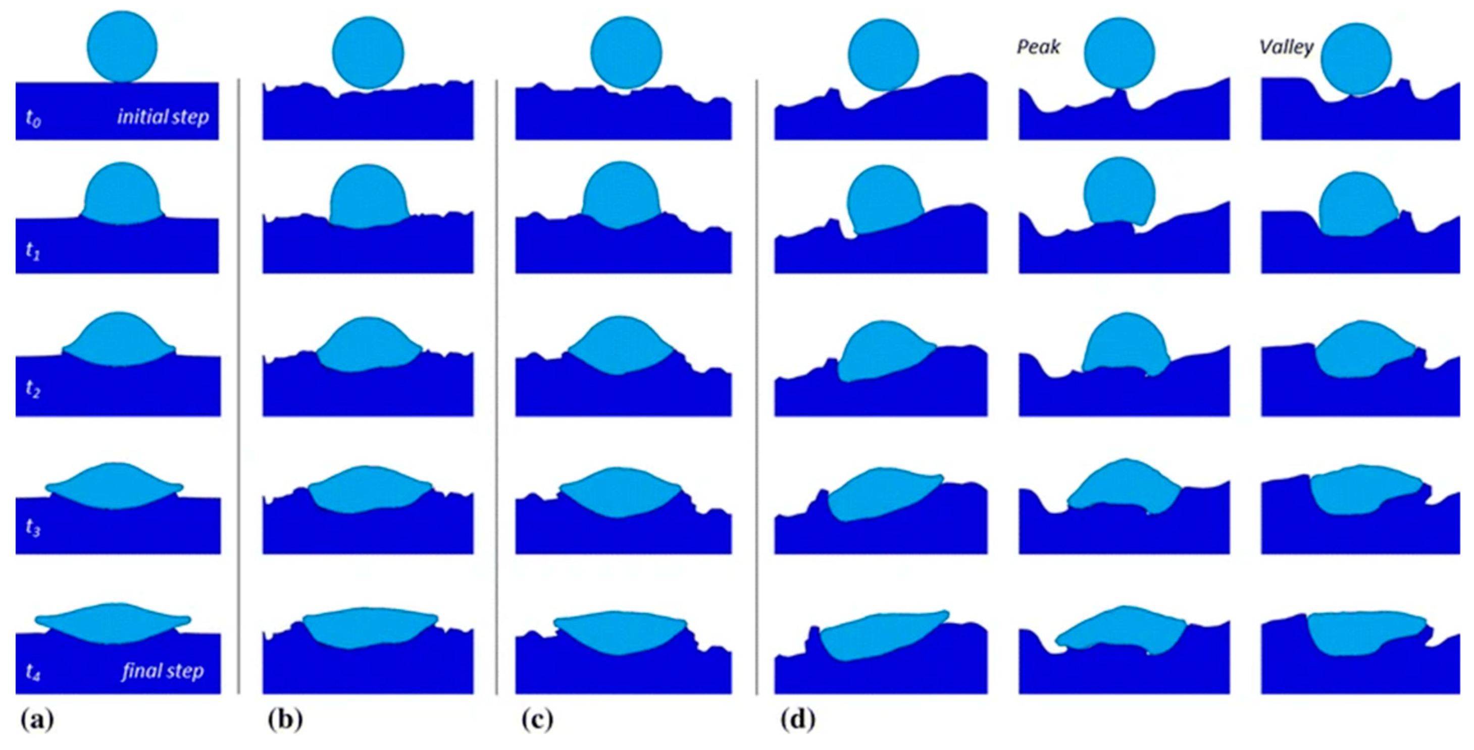 Coatings 14 00913 g021