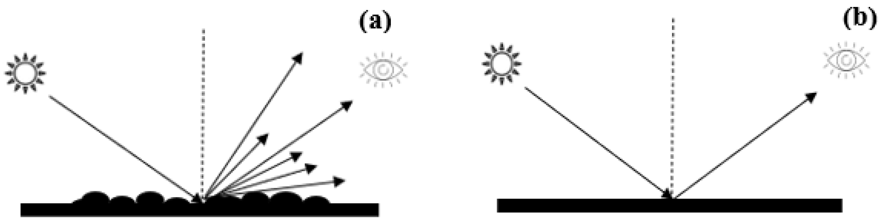 Coatings 14 00915 g002