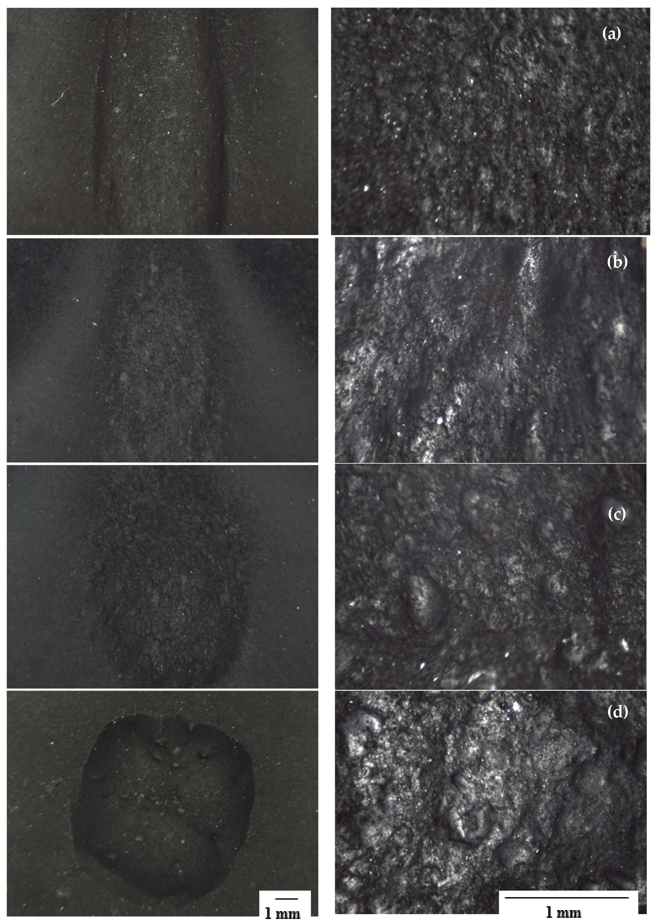 Coatings 14 00915 g007