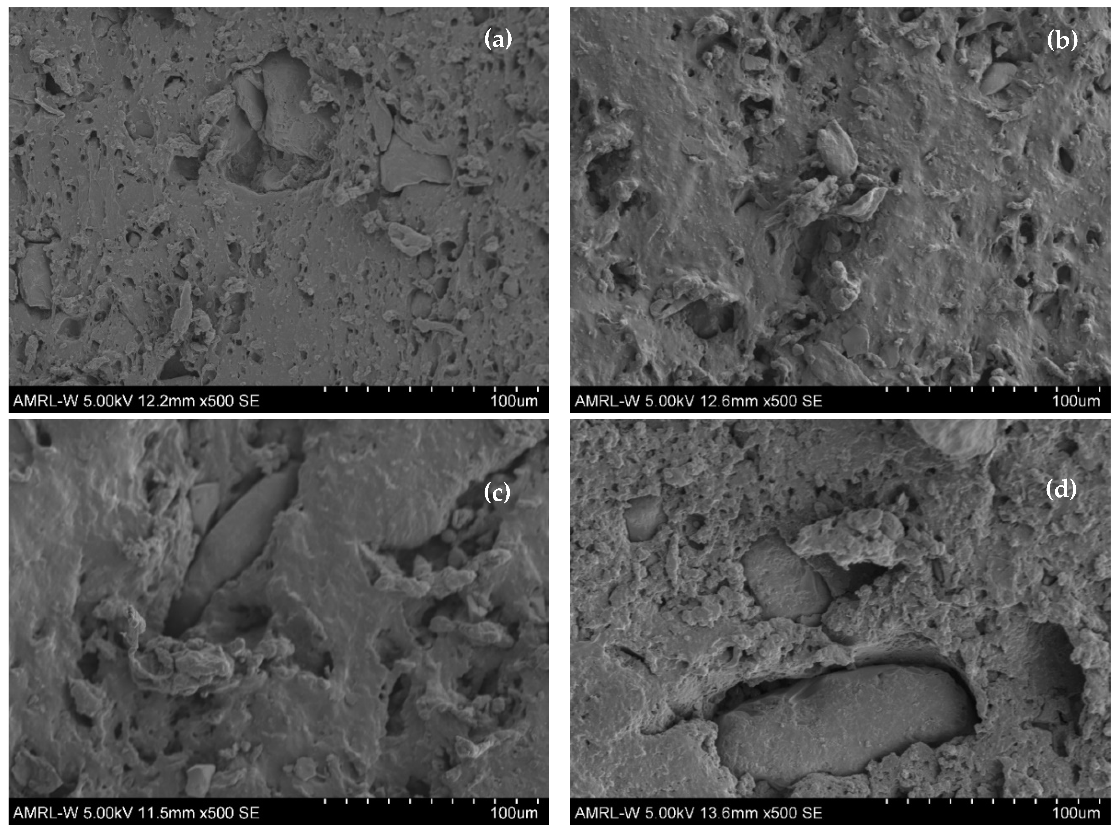 Coatings 14 00915 g008