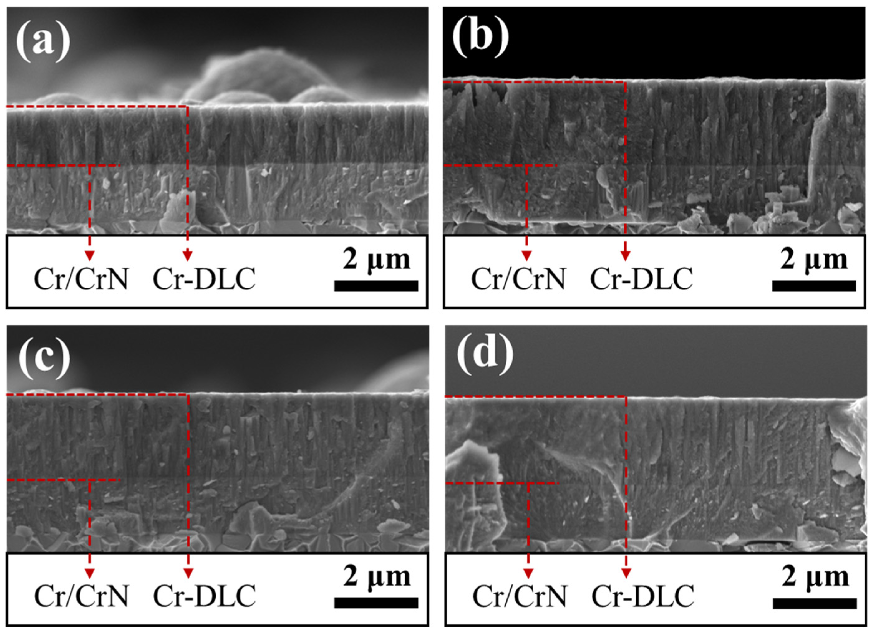 Coatings 14 00916 g004