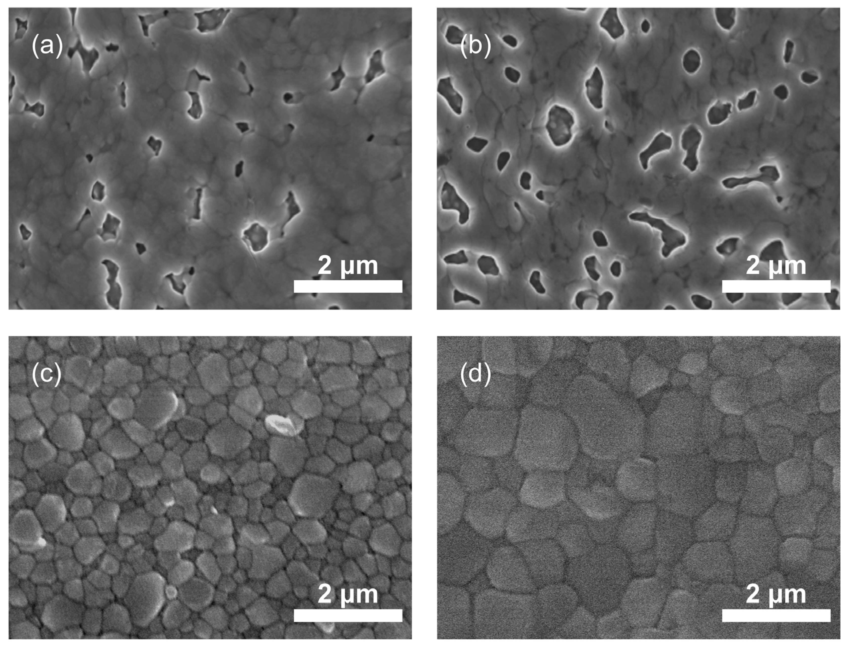 Coatings 14 00918 g001
