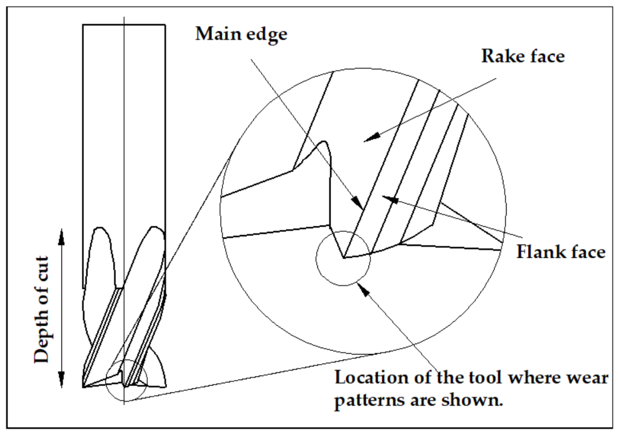Coatings 14 00923 g008
