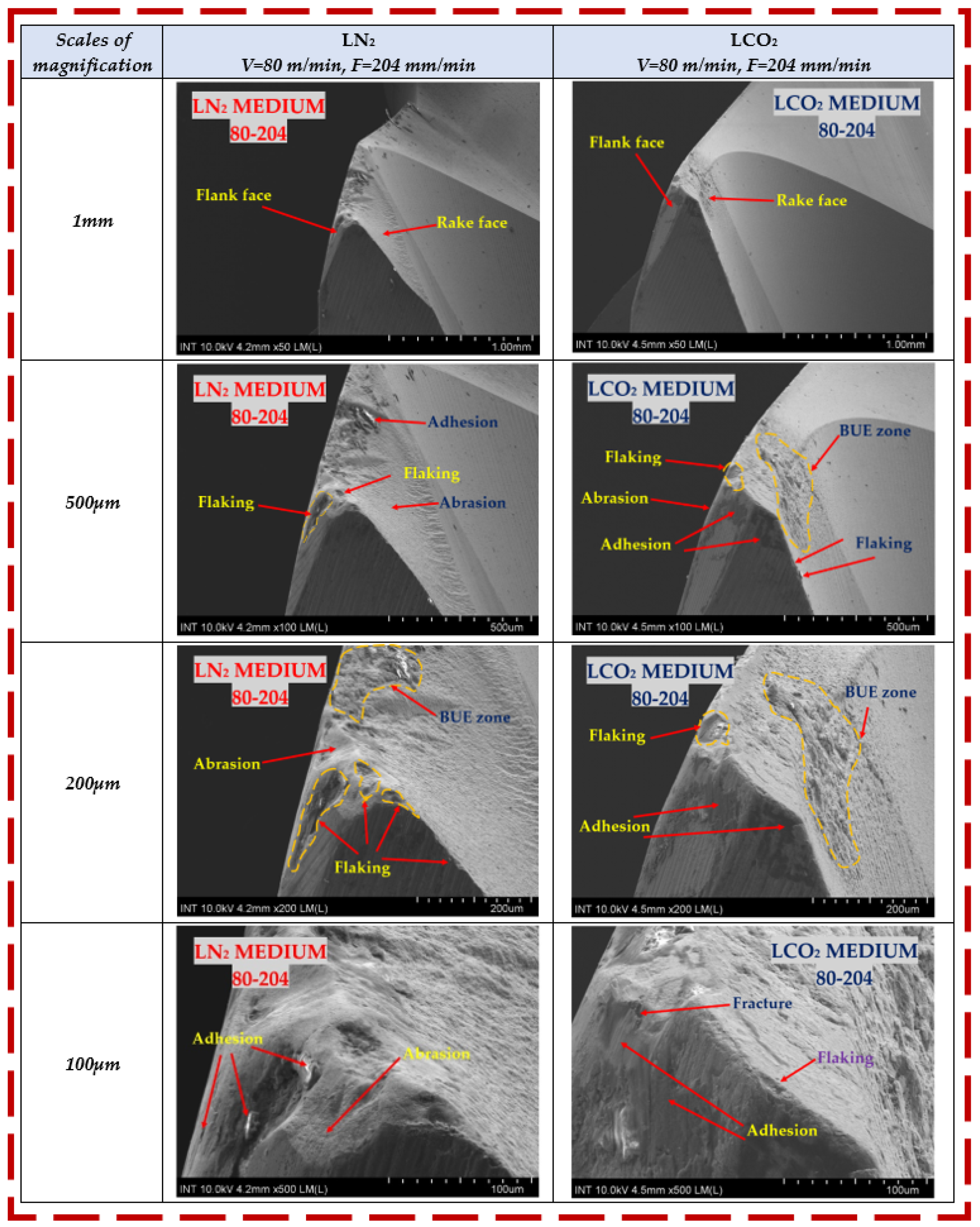 Coatings 14 00923 g010