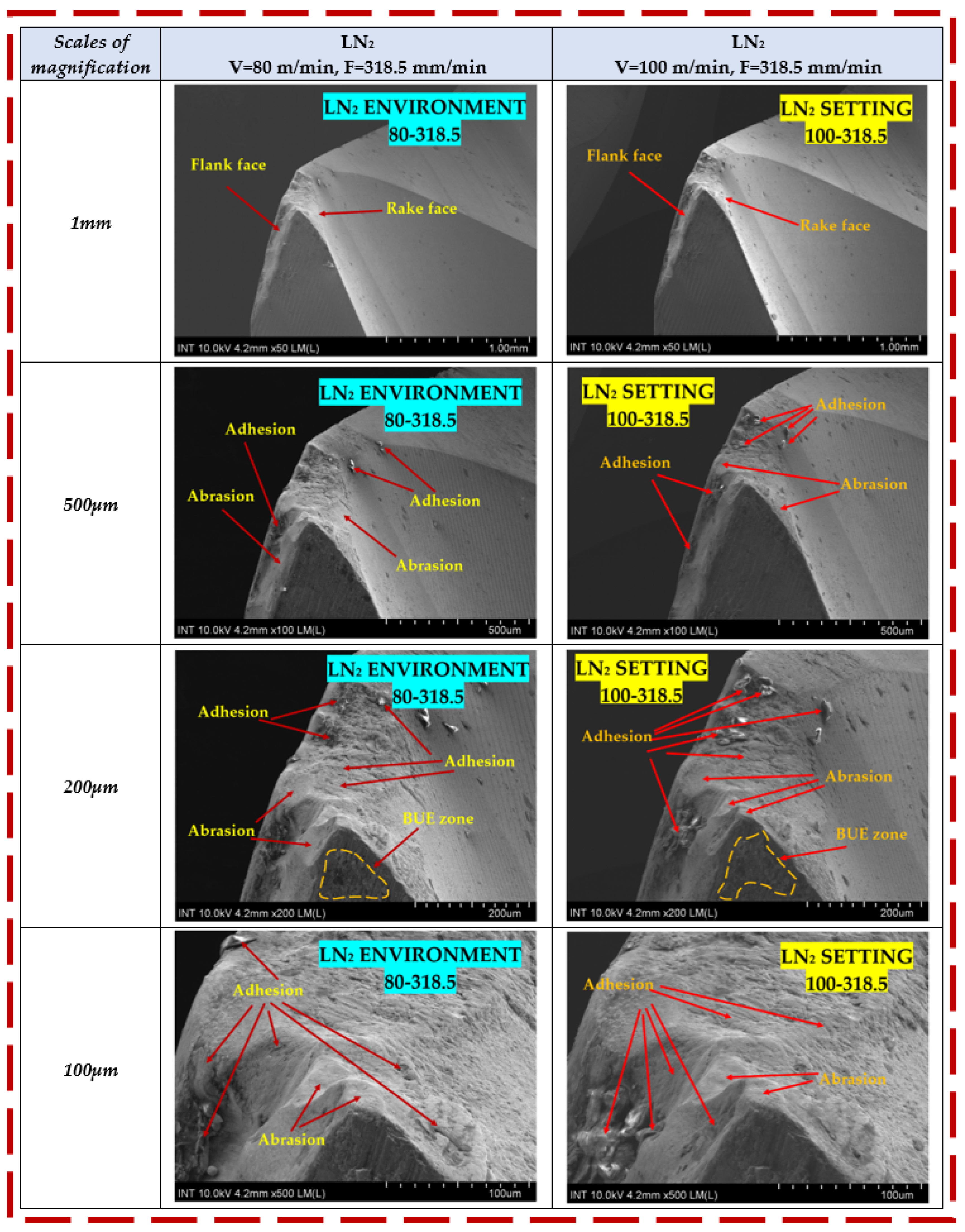 Coatings 14 00923 g013