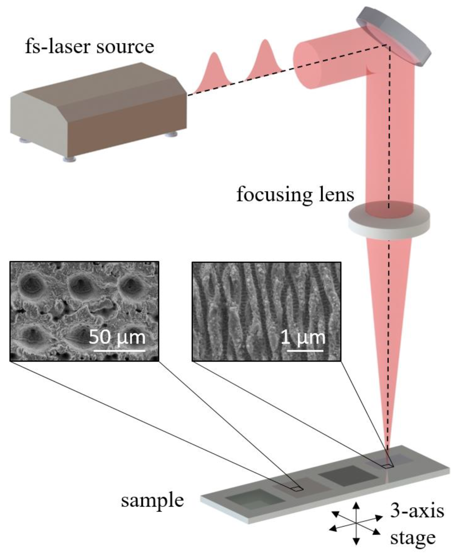 Coatings 14 00924 g001