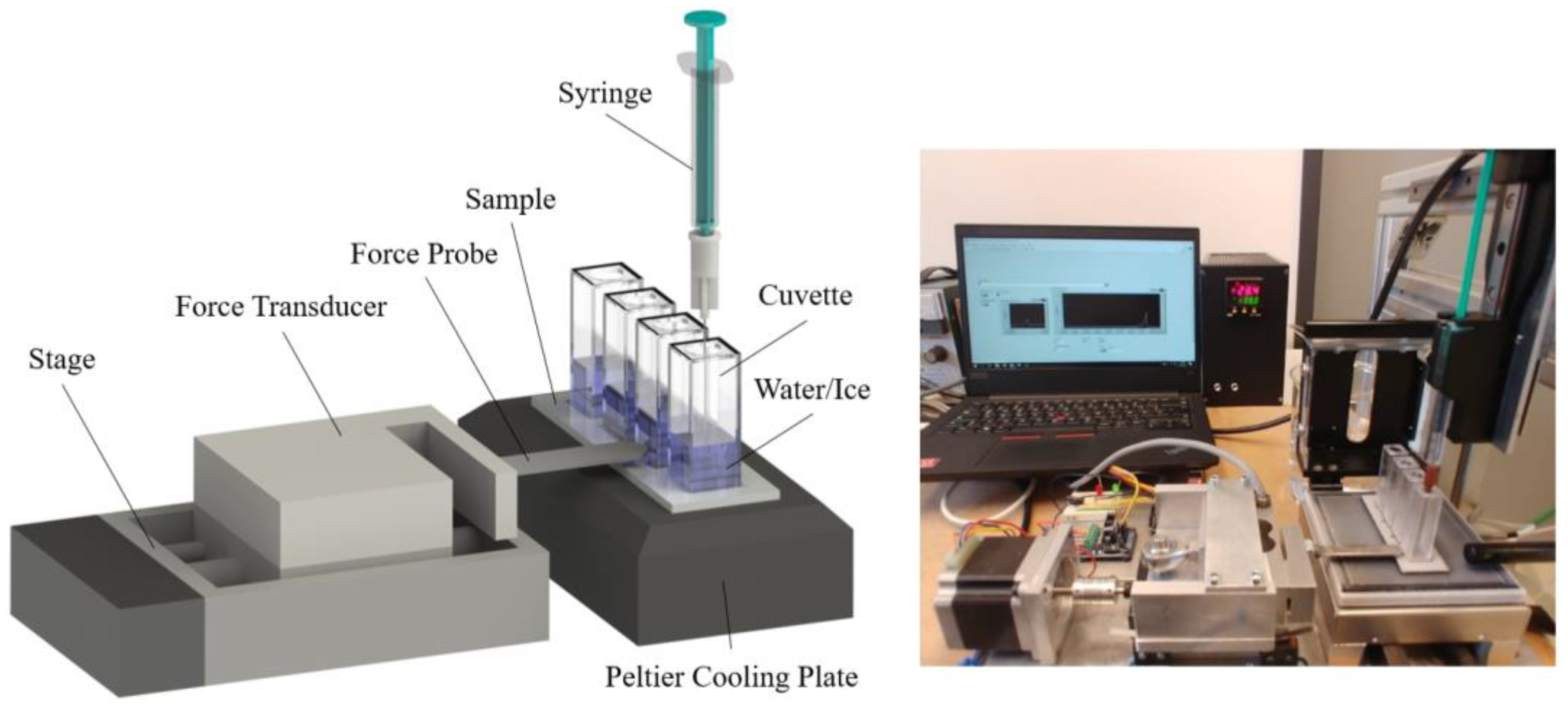 Coatings 14 00924 g002