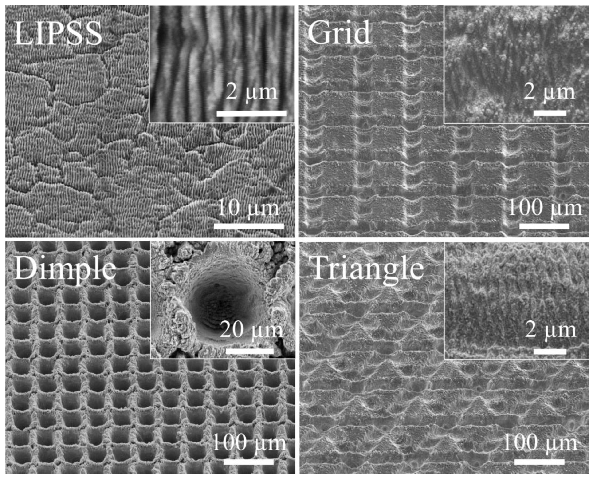 Coatings 14 00924 g003