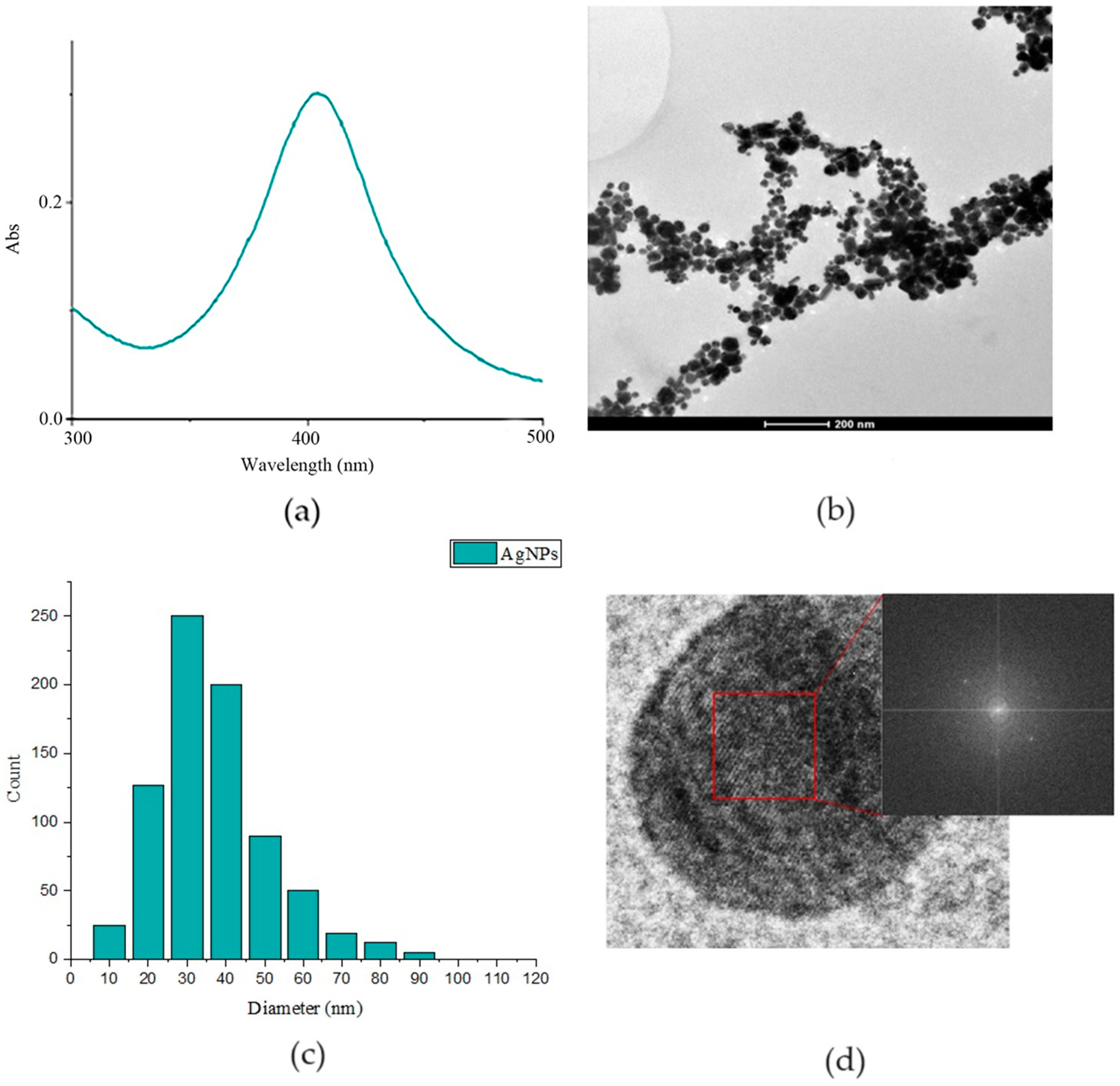 Coatings 14 00925 g001