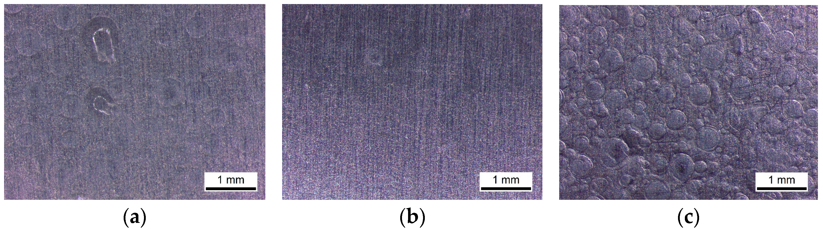 Coatings 14 00925 g002