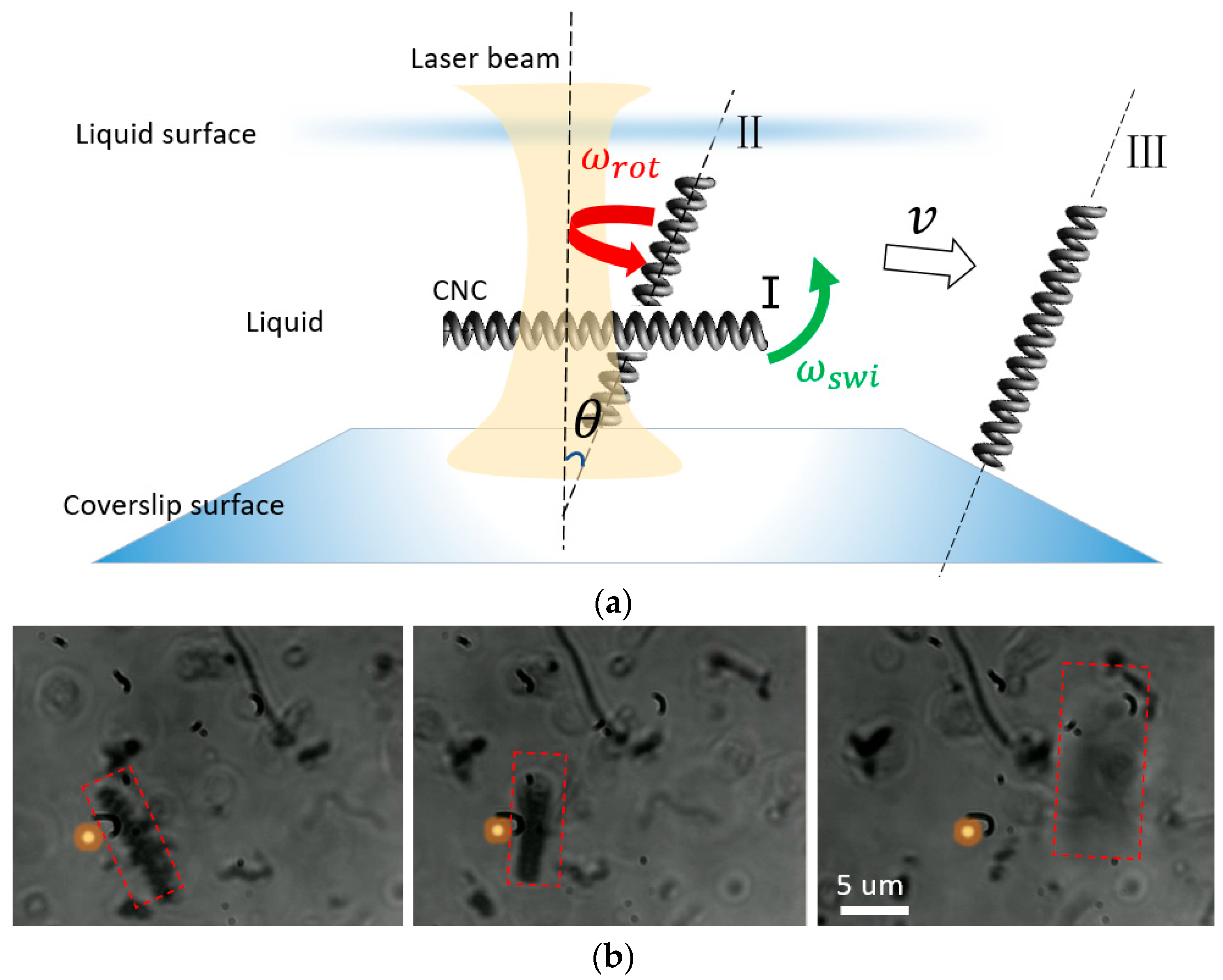 Coatings 14 00926 g003
